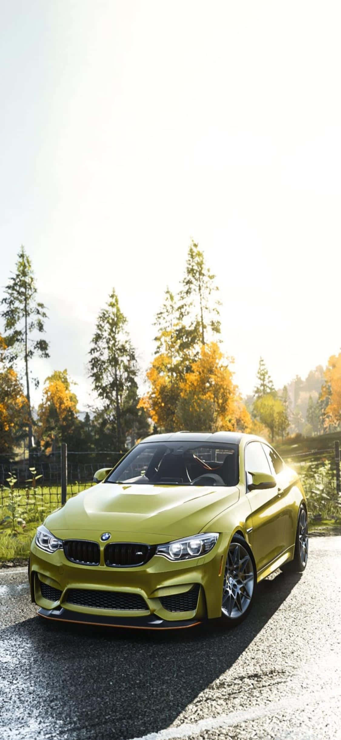 Fast & Furious, Cầm Lái iPhone Xs & Đua Đến Chiến Thắng trong Forza Horizon 4 Hình nền
