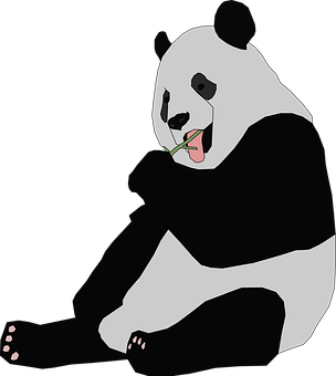 Gấu trúc đang ăn tre Hình nền