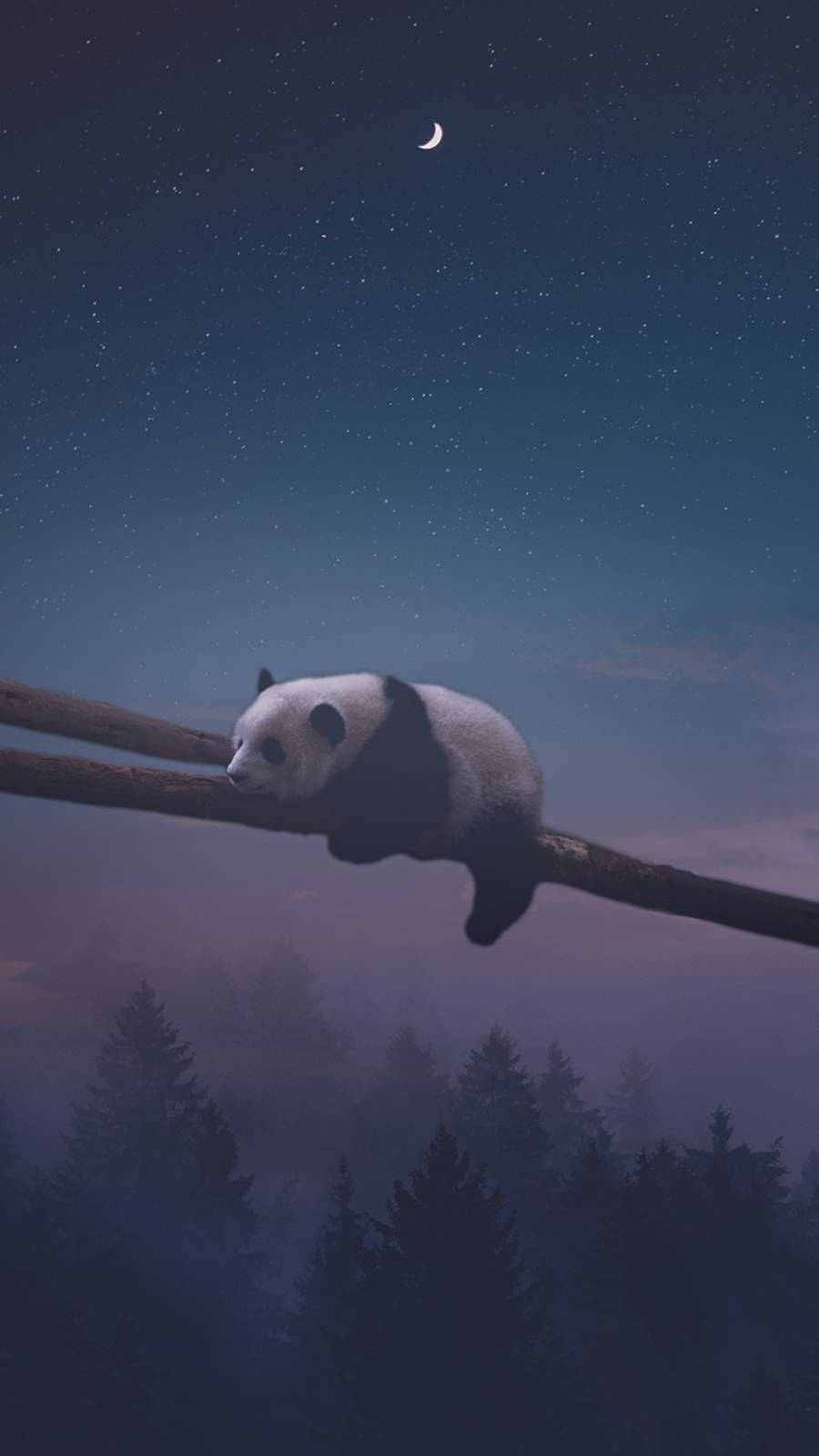 Gấu Trúc Ngủ Đêm Hình nền