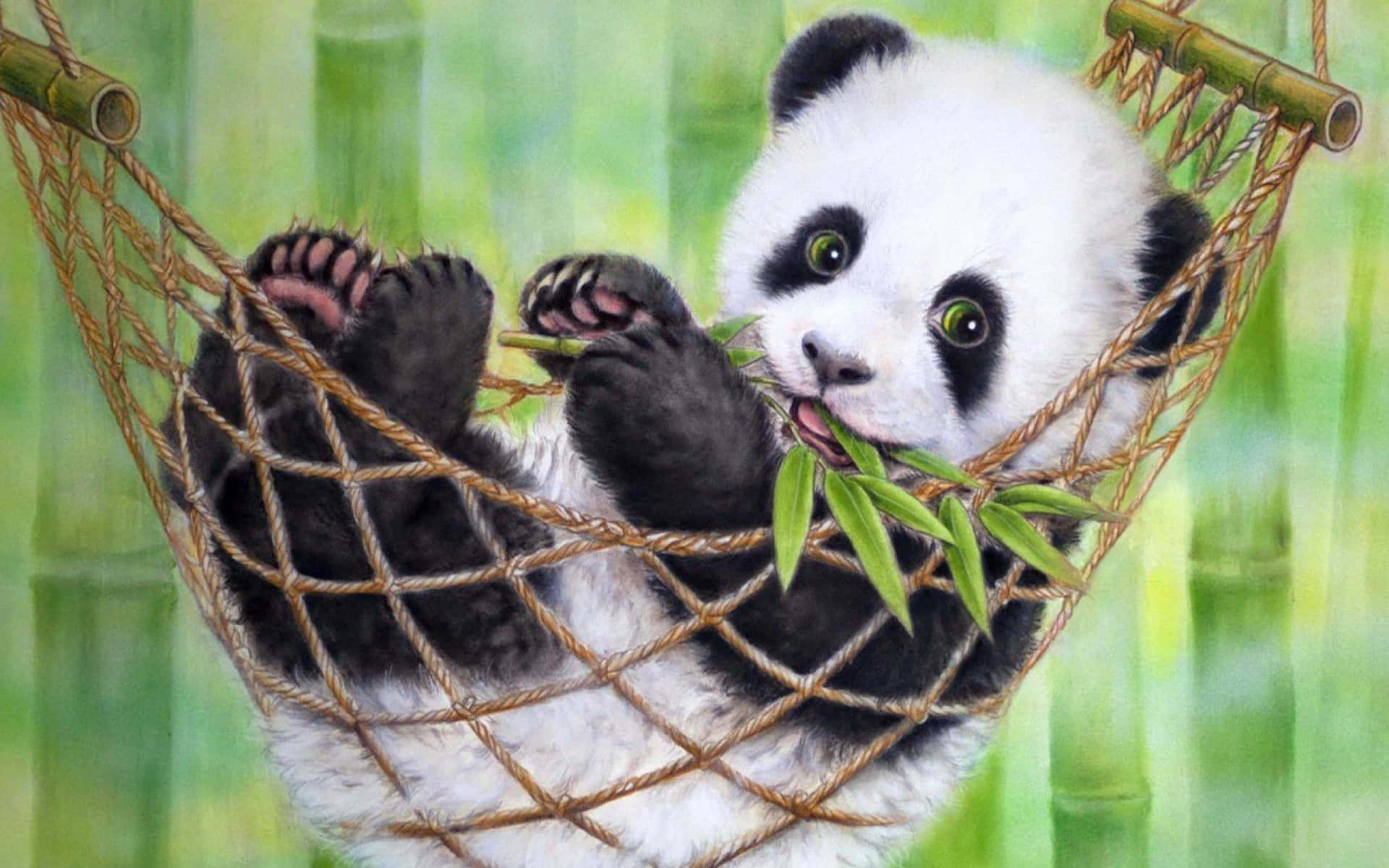 Gấu Trúc Máy Tính