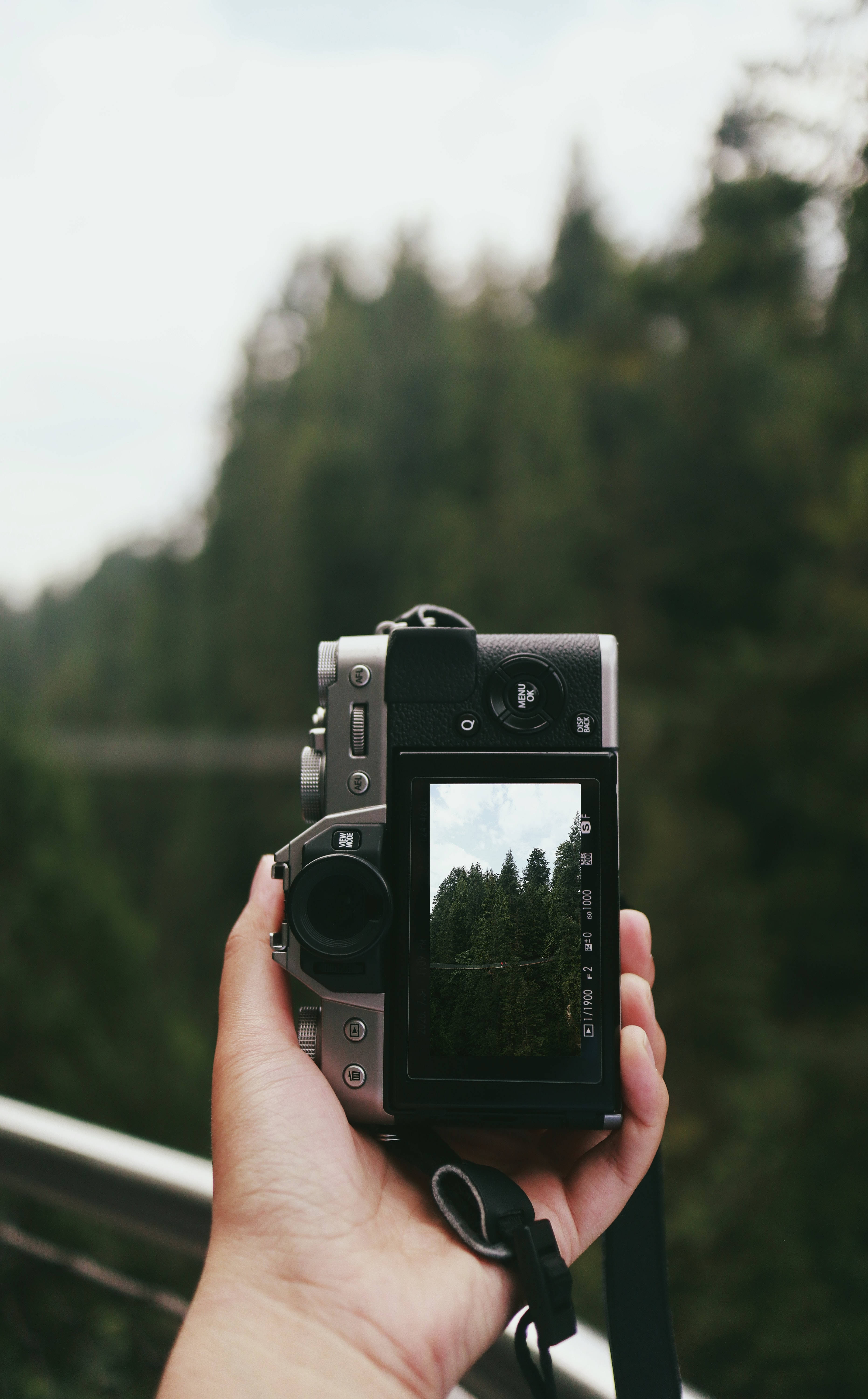 “Capturing Life Through the Lens” Hình nền