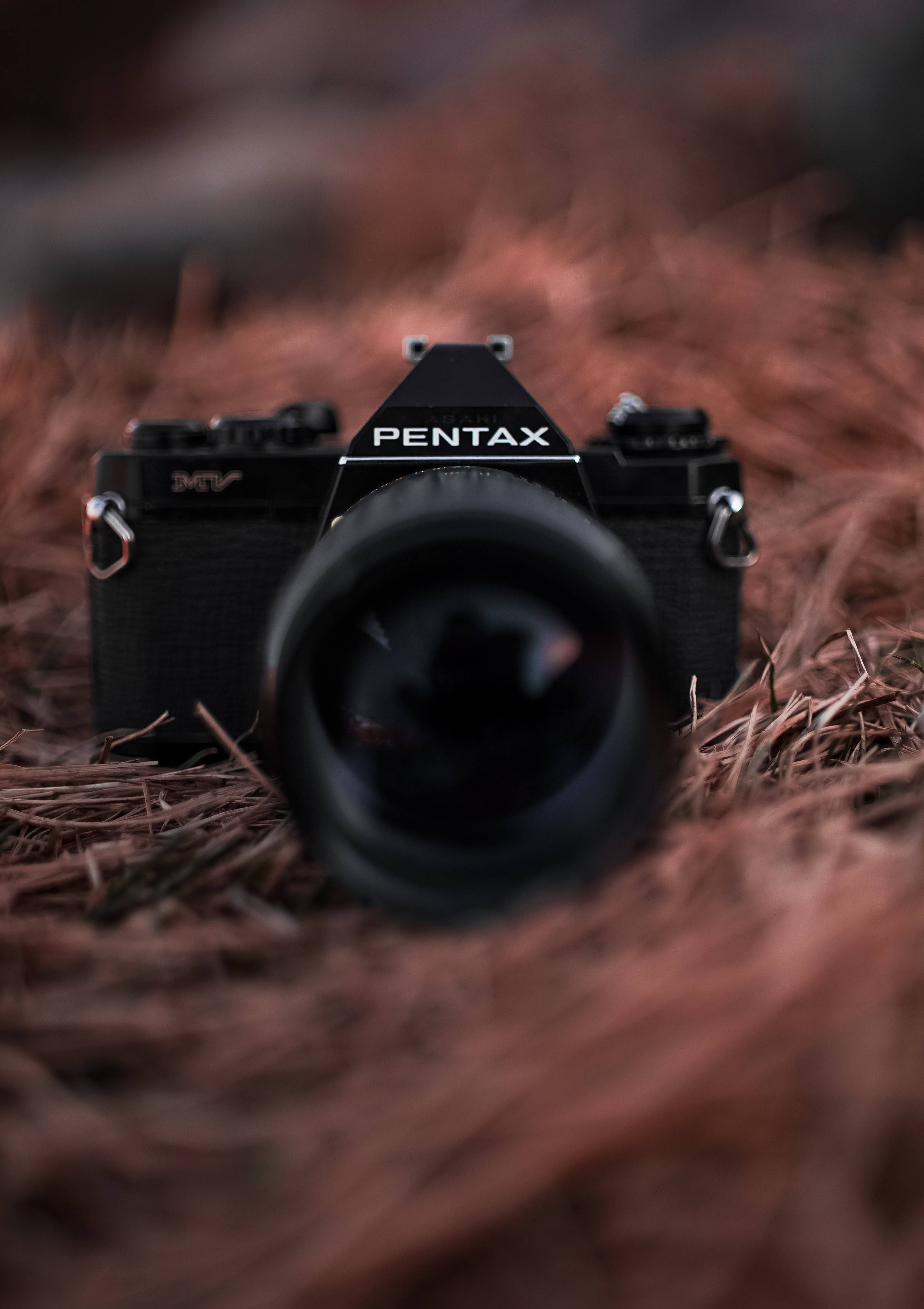 Ghi lại vẻ đẹp cuộc sống với máy ảnh Pentax Hình nền