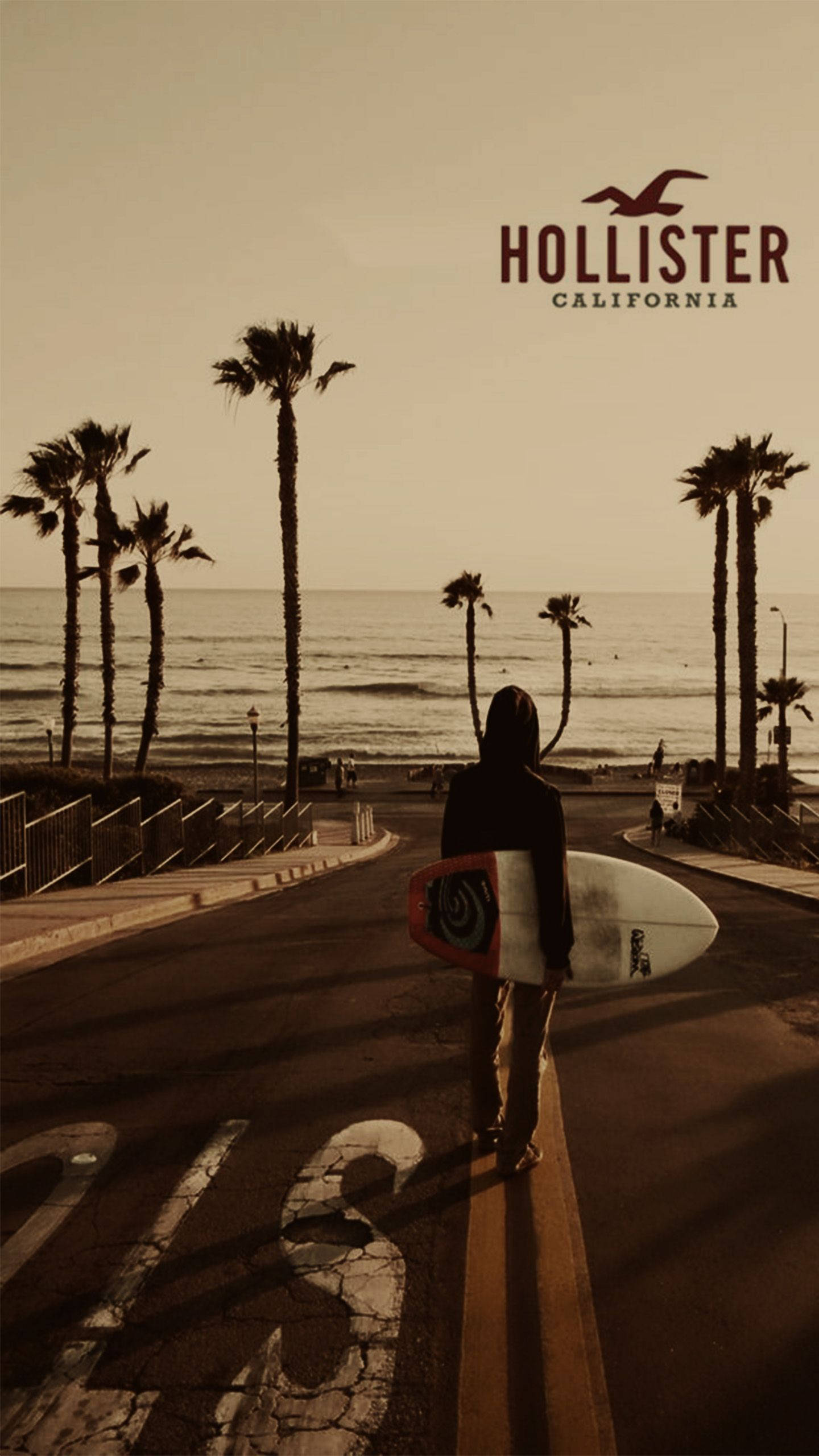 Giải Phóng Tinh Thần California: Một Người Lướt Sóng Hollister Hình nền