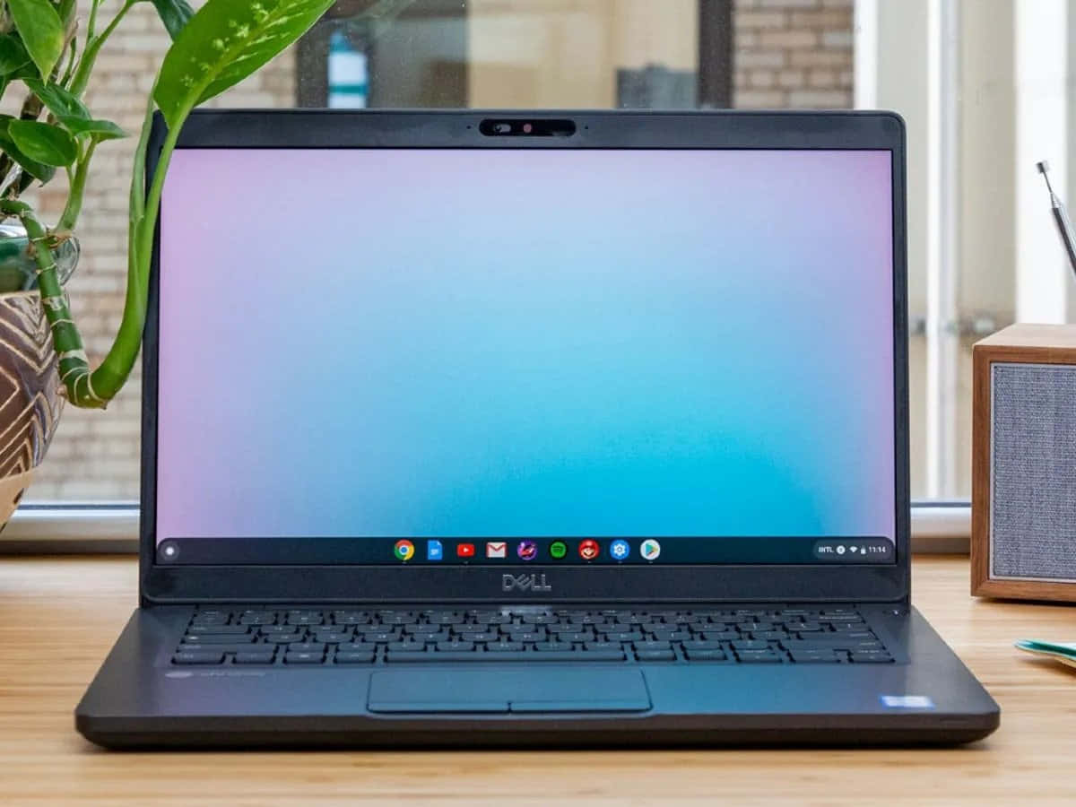 Giới thiệu Chromebook: Laptop tinh tế và giá cả phải chăng Hình nền