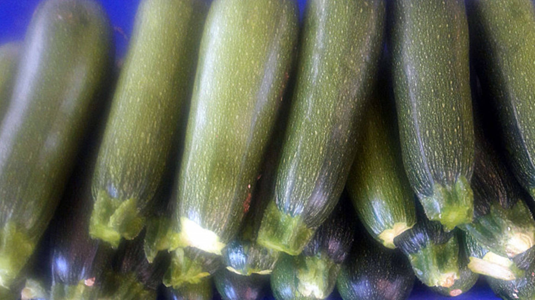 Giống Bí Ngòi Baby Marrow Hình nền