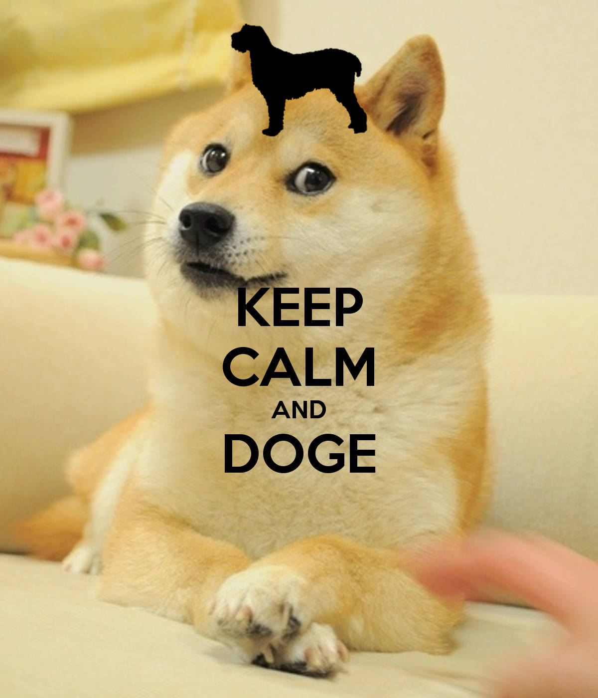 Giữ Bình Tĩnh Và Doge Tiếp! Hình nền