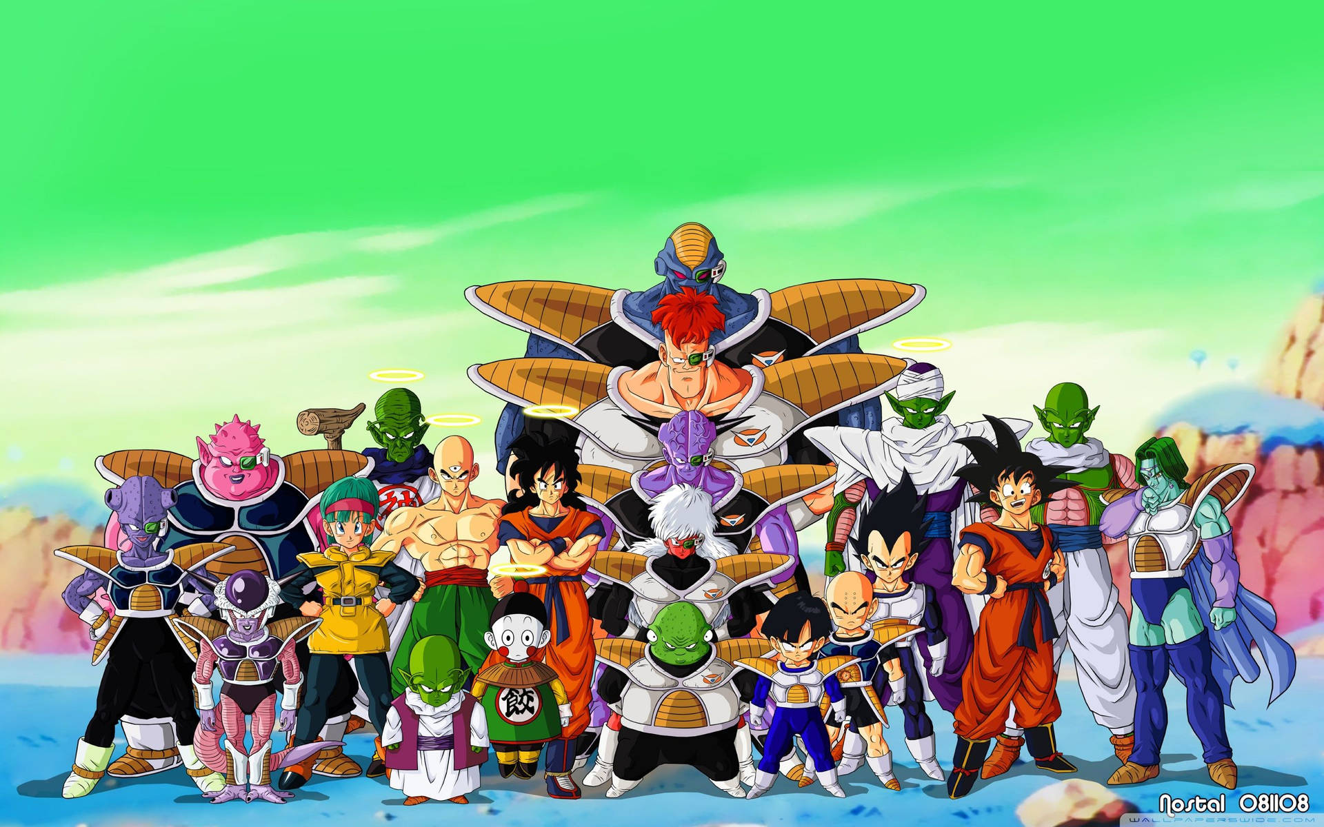 Các nhân vật Dragon Ball Z trên hành tinh Namek với San Goku, Piccolo và các android khác.