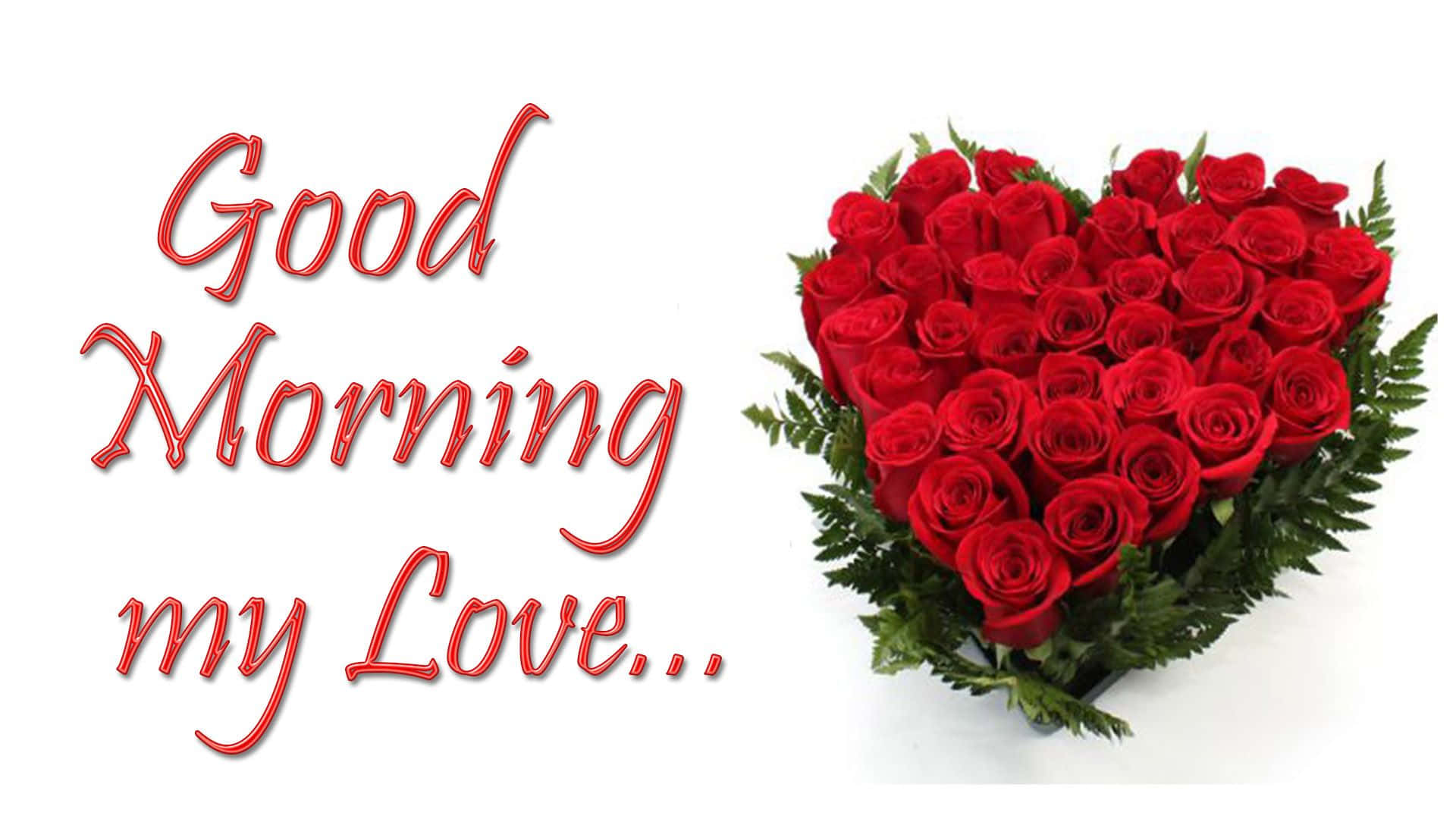Good Morning My Love Hình Trái Tim Từ Hoa Hồng Hình nền