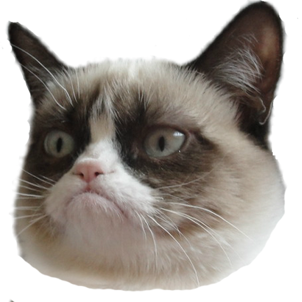 Grumpy Cat Đầu Mèo Nền Trong Suốt.PNG Hình nền