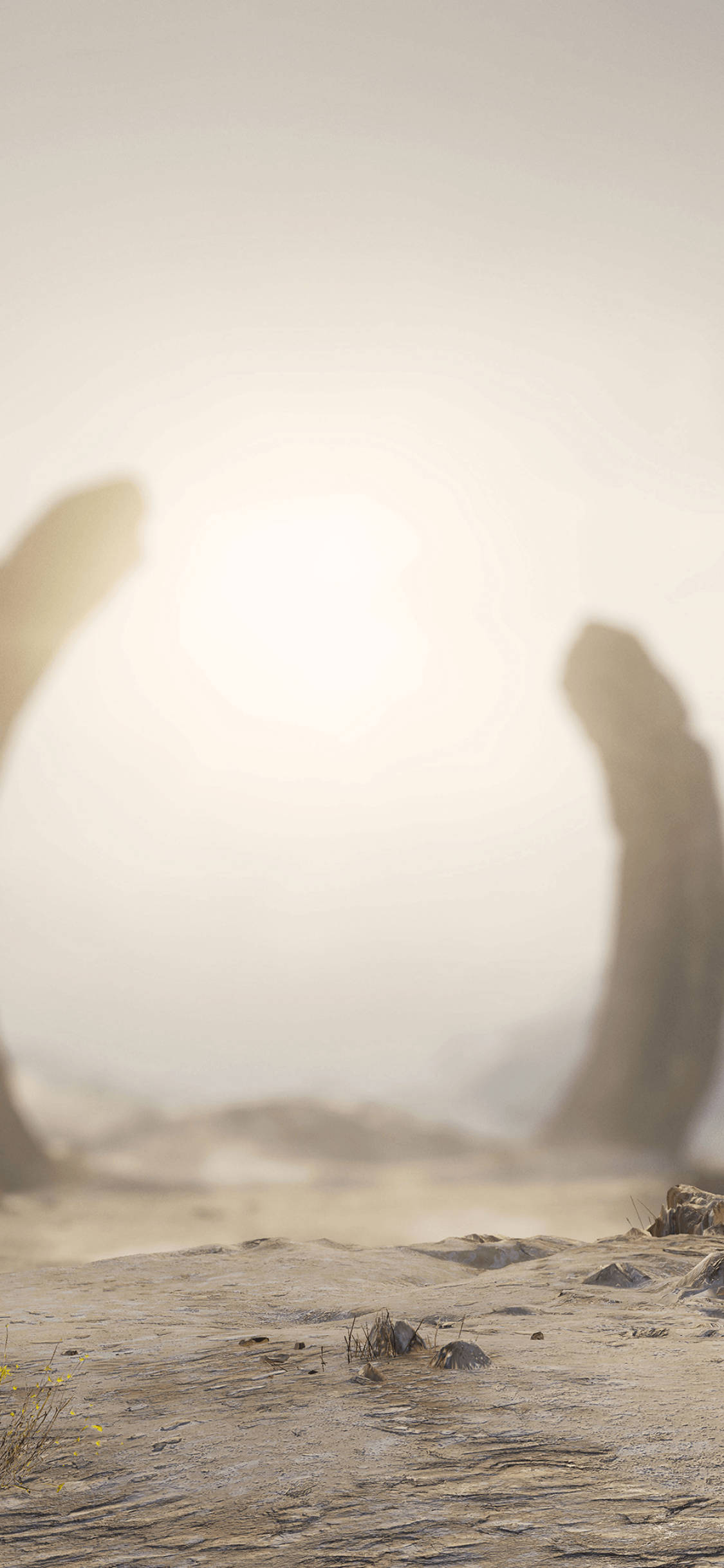 Halo Infinite Zeta Halo Hình nền