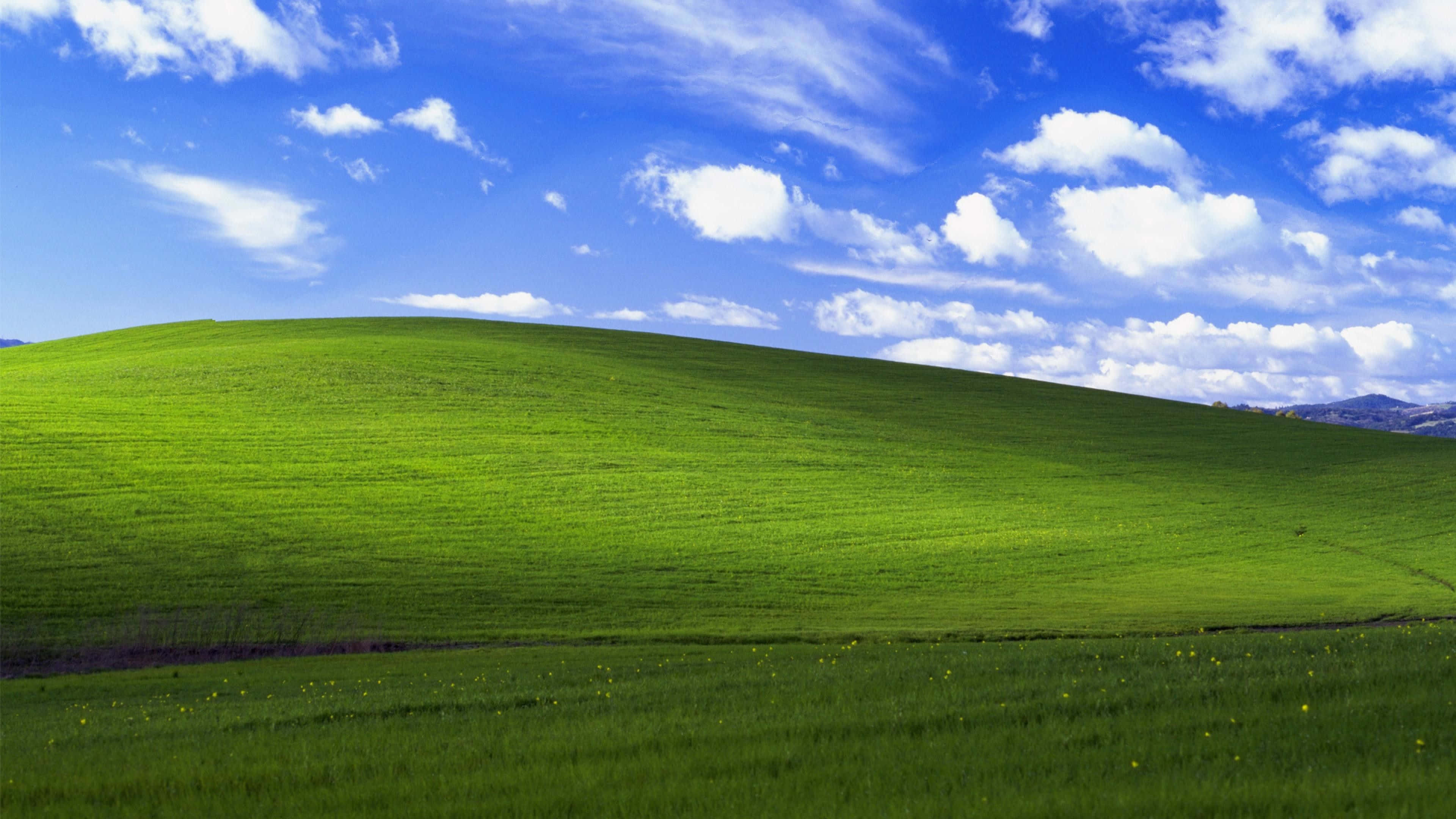 Hạnh phúc mặc định Windows 1 Hình nền