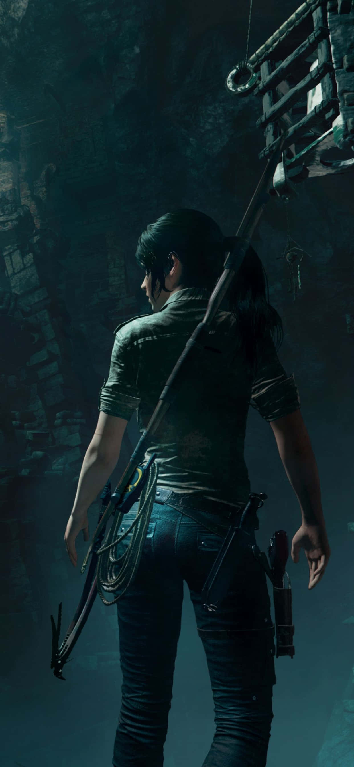Hành trình qua Rise Of The Tomb Raider trên iPhone Xs Max của bạn Hình nền