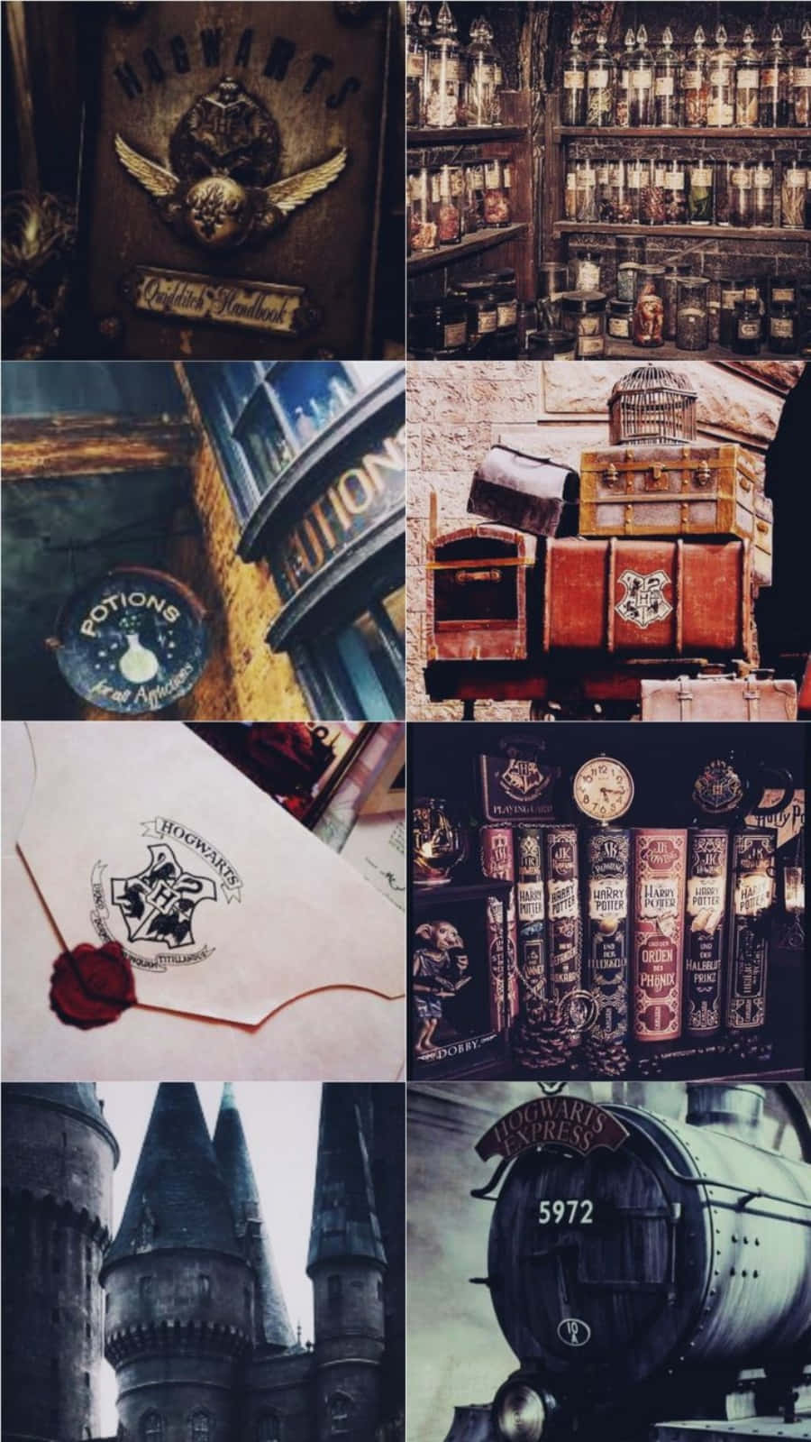 Harry Potter thẩm mỹ dạo bước trong khu rừng Hình nền