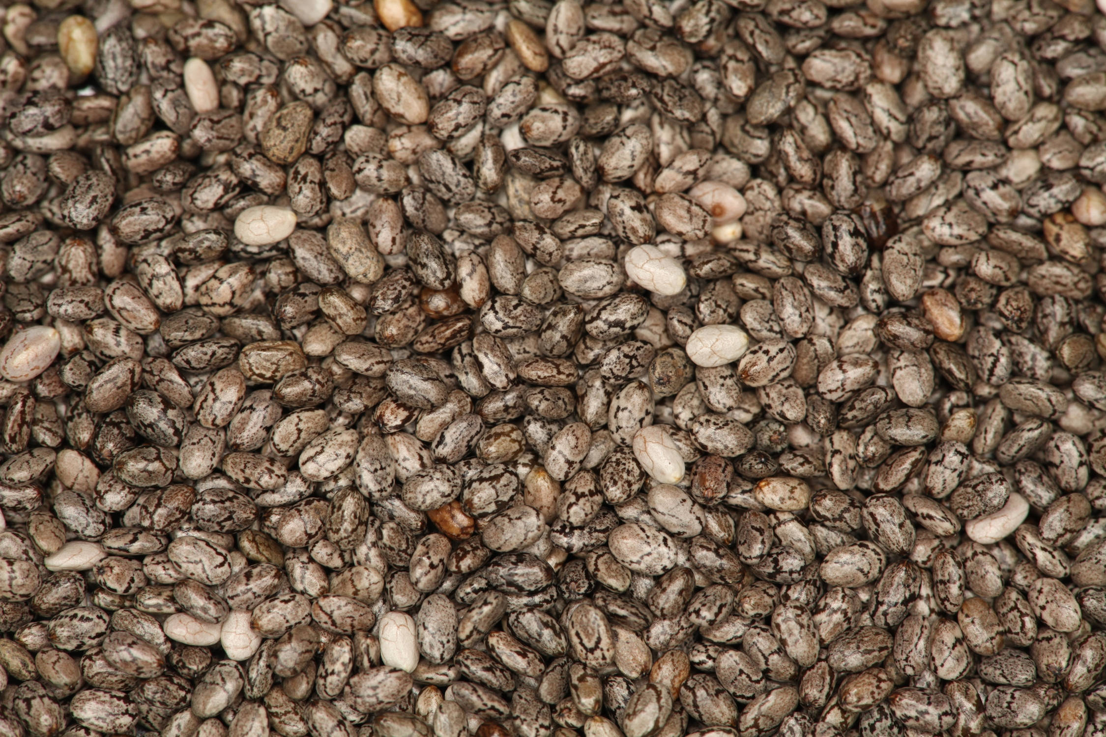 Hạt Chia Trải Đều Hình nền