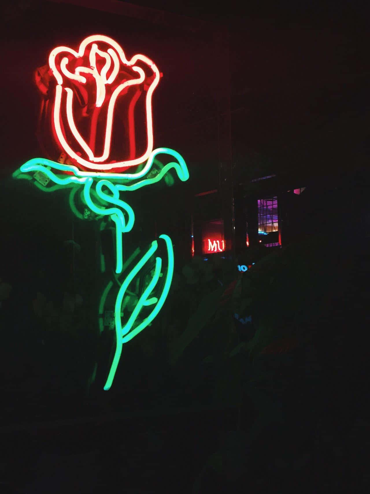 Hãy để ánh đèn neon dẫn lối và soi đường cho bạn Hình nền