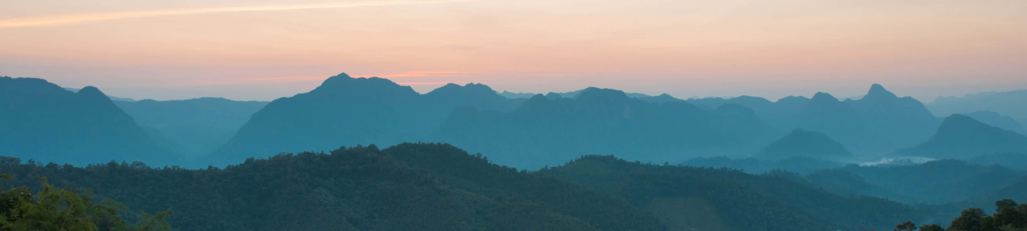 "Hãy để thiên nhiên vươn tới bạn" Hình nền