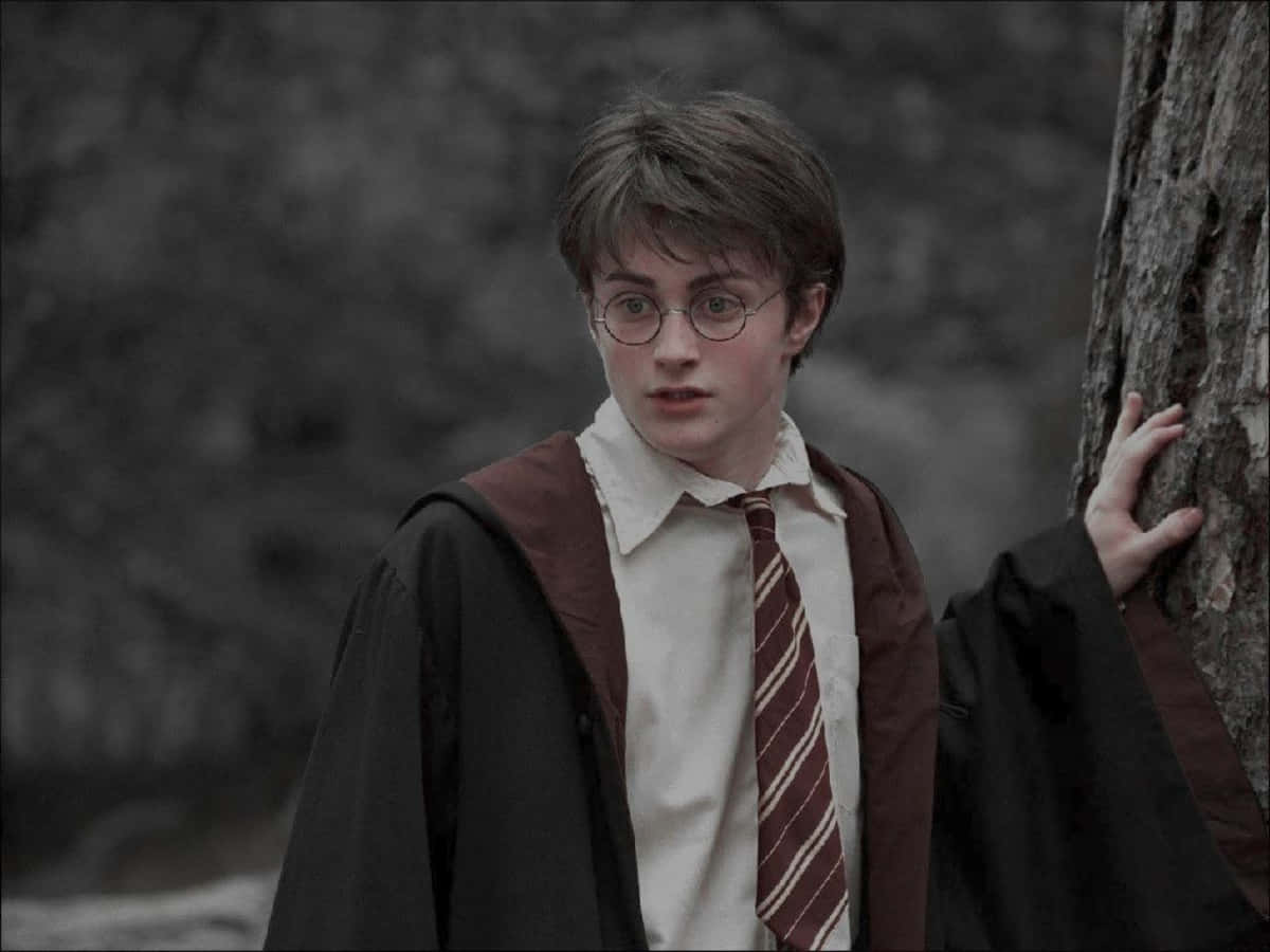 "Hãy để trí tưởng tượng của bạn dạo chơi qua thế giới phù thủy Harry Potter." Hình nền