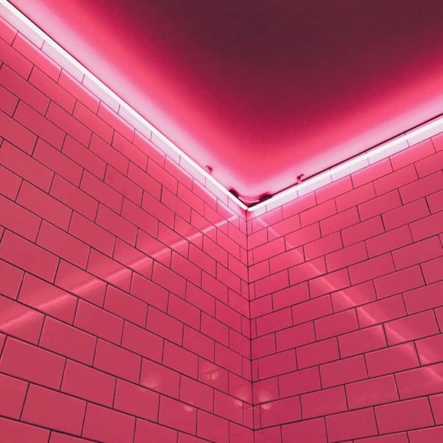 Hãy để ước mơ thắp sáng cuộc sống của bạn như một thẩm mỹ màu hồng neon Hình nền