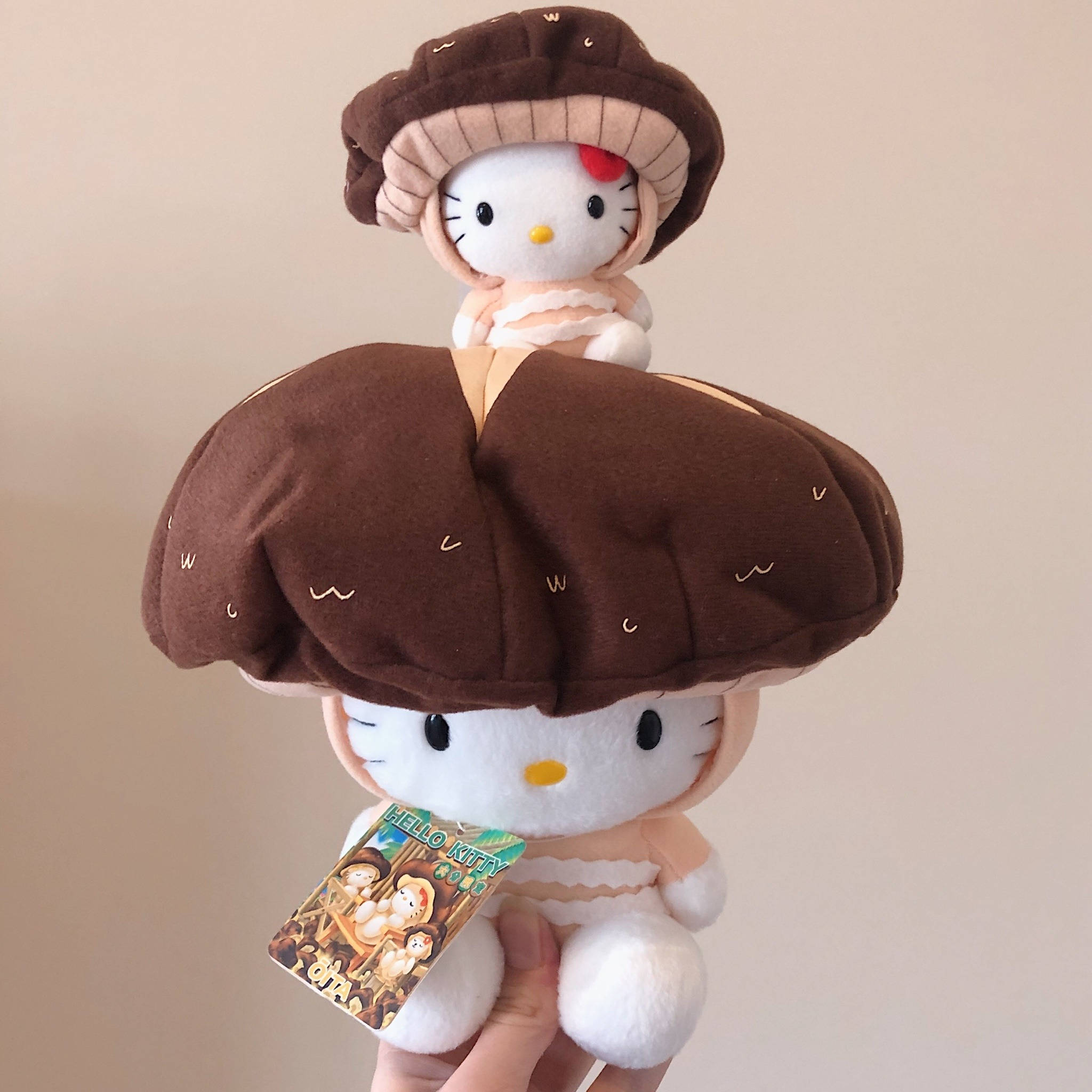 Hello Kitty PFP hình nền thú nhồi bông nấm Hình nền