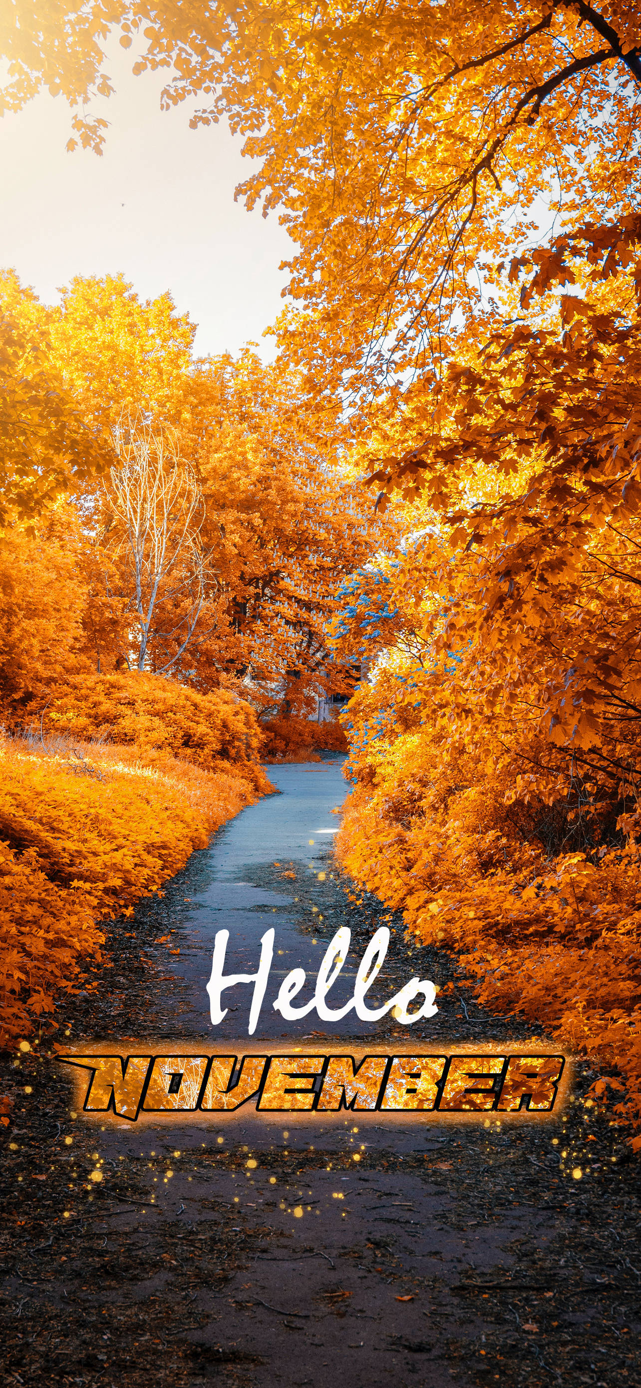 Hello November Lối Đi Vườn Vàng Hình nền