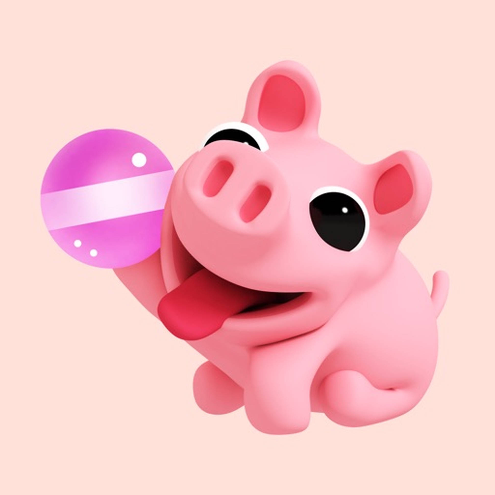 Heo Hồng Dễ Thương Rosa Hình nền