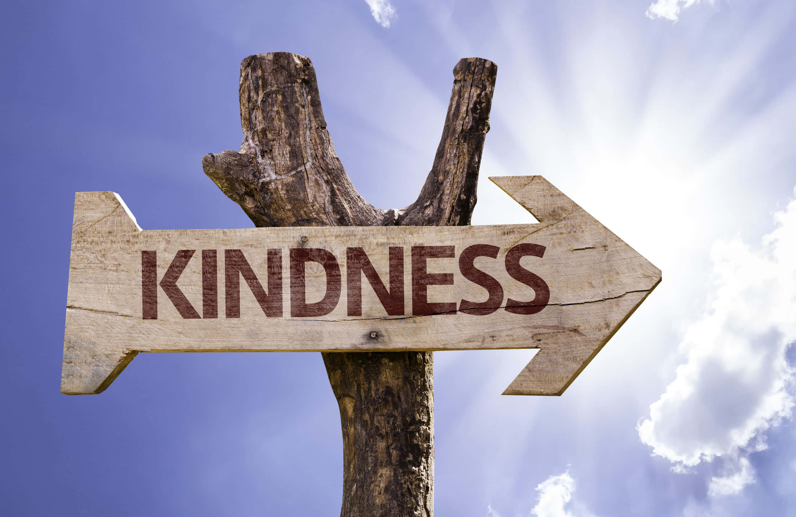 Hình ảnh biển gỗ Kindness Hình nền