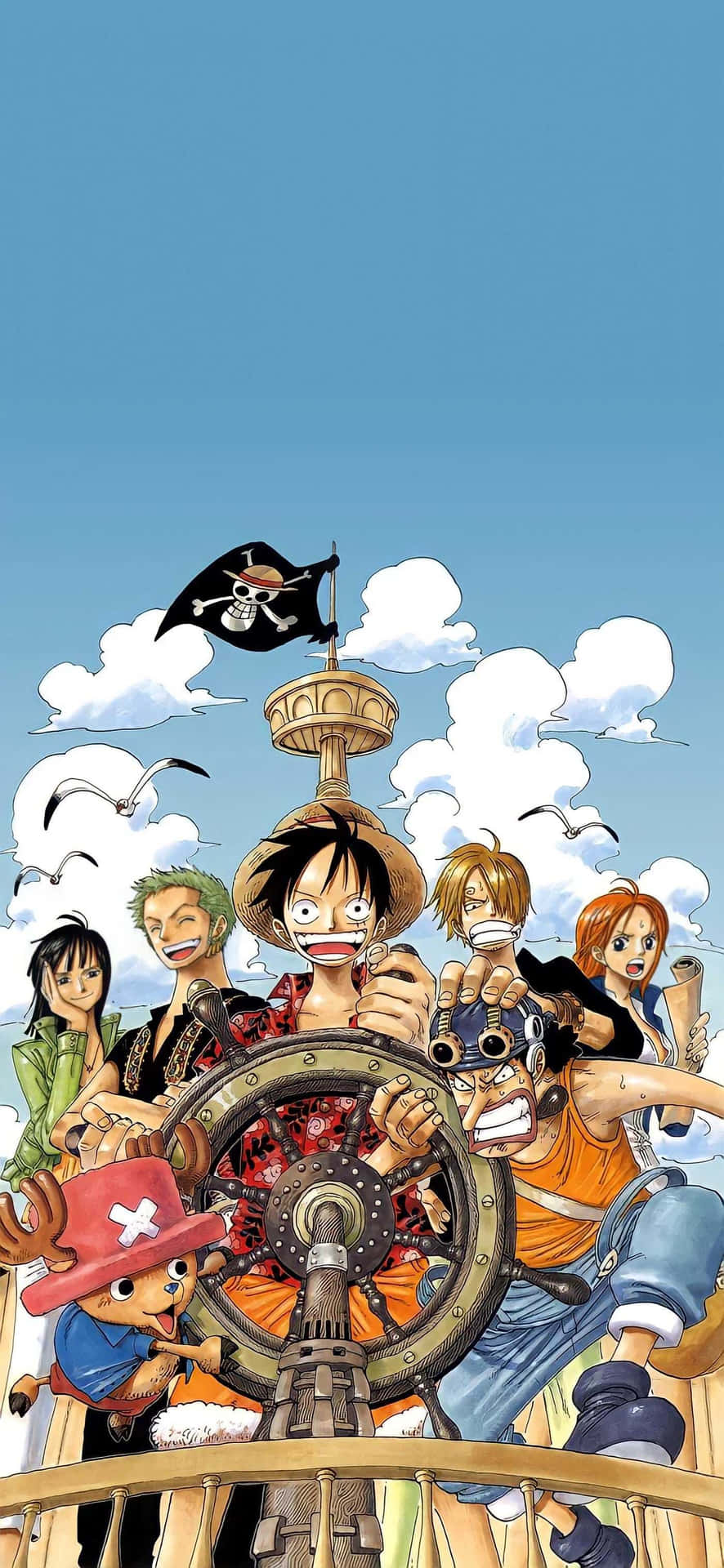 Hình ảnh One Piece