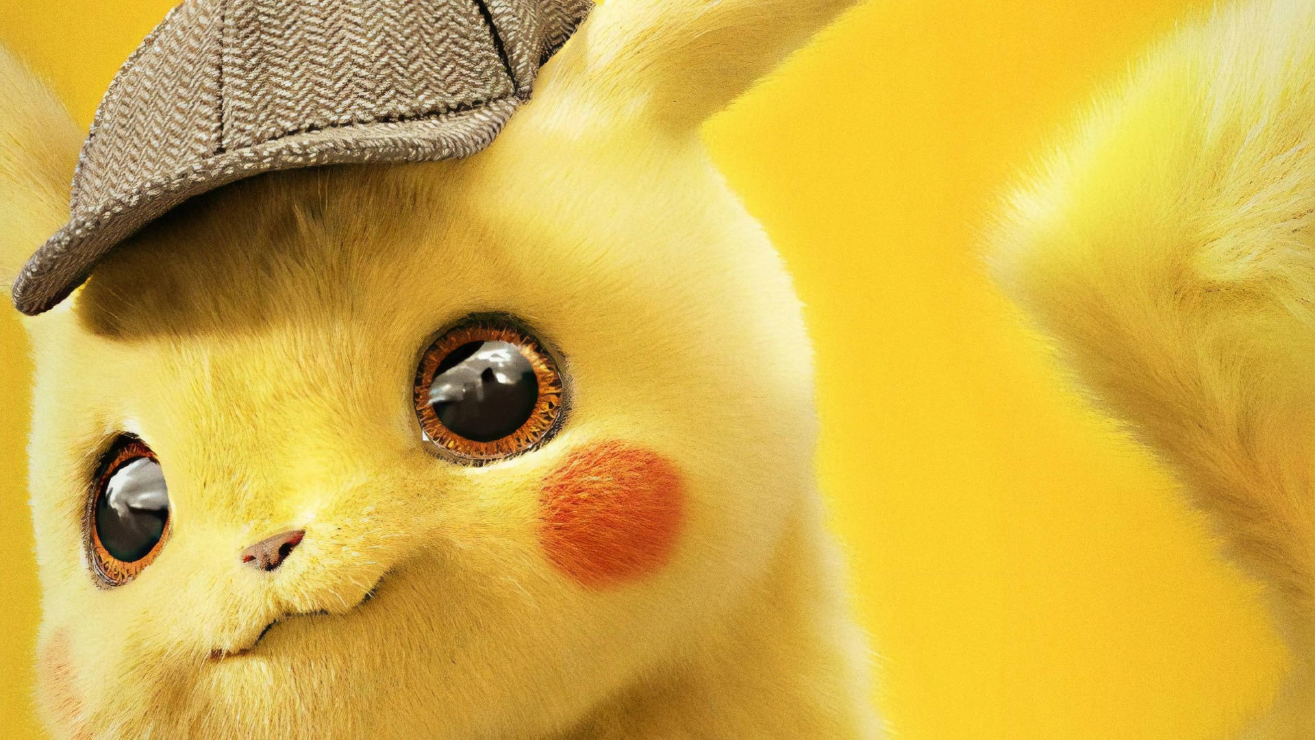 Hình ảnh cận cảnh Pikachu Hình nền