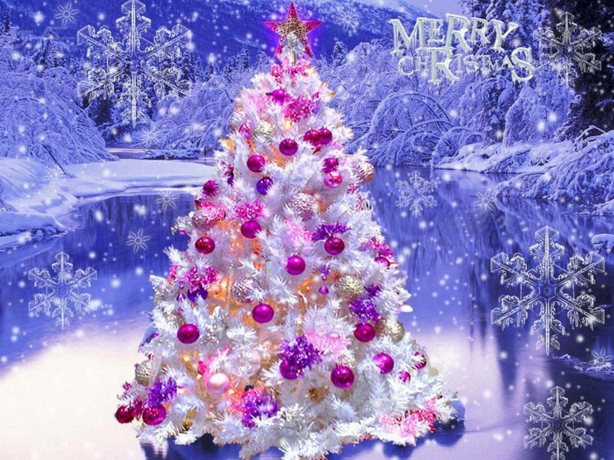 Hình ảnh Cây thông Noel Trắng Trang trí Kẹo Hình nền