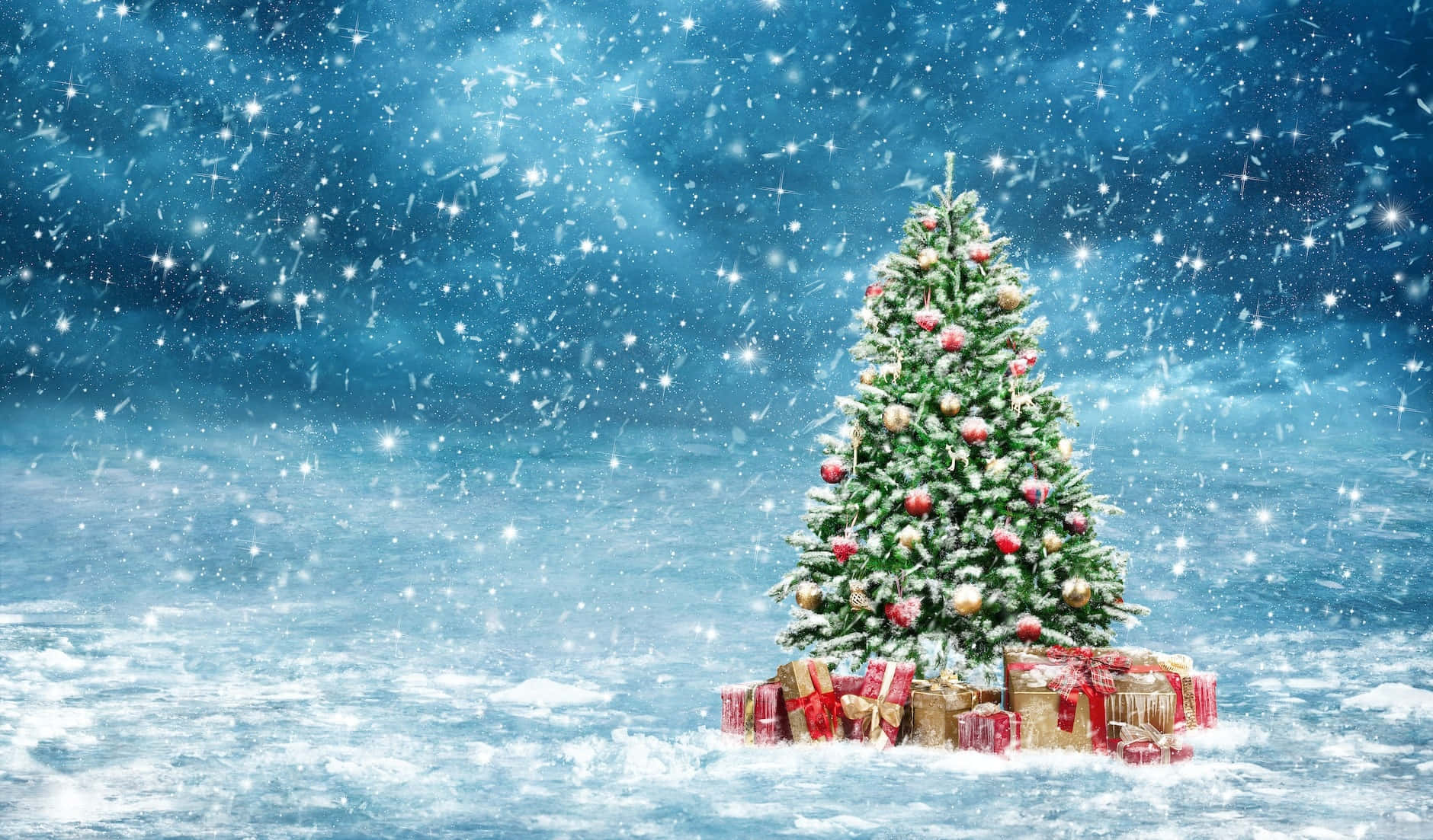Hình Ảnh Cây Thông Noel & Tuyết Rơi Hình nền