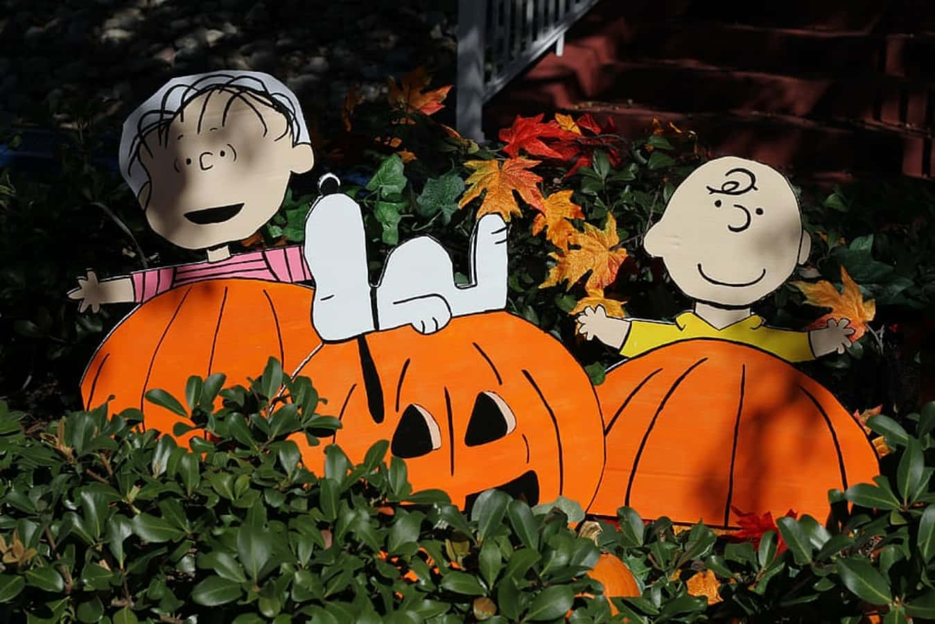 Hình ảnh Charlie Brown Halloween Hình nền