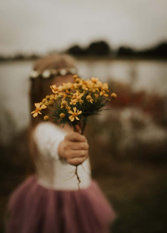 Hình Ảnh Cô Gái Cảm Xúc Cầm Hoa Vàng Hình nền