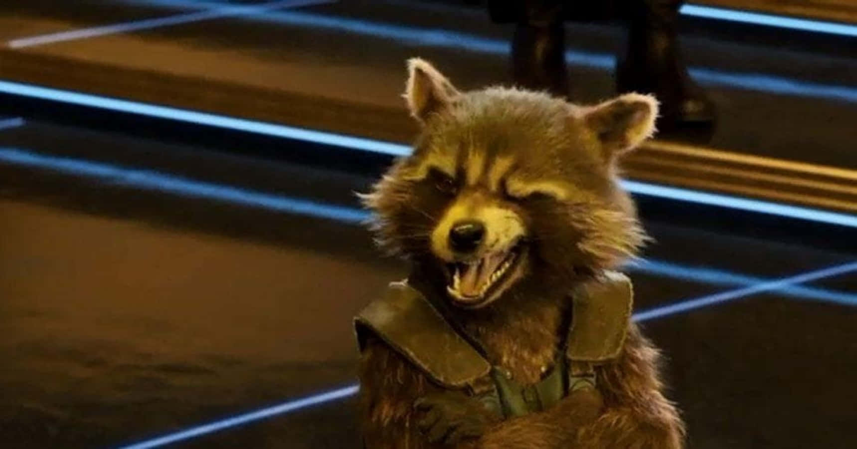 Hình ảnh hài hước Chú Gấu Mèo Rocket tức giận Vệ Binh Dải Ngân Hà Marvel Hình nền