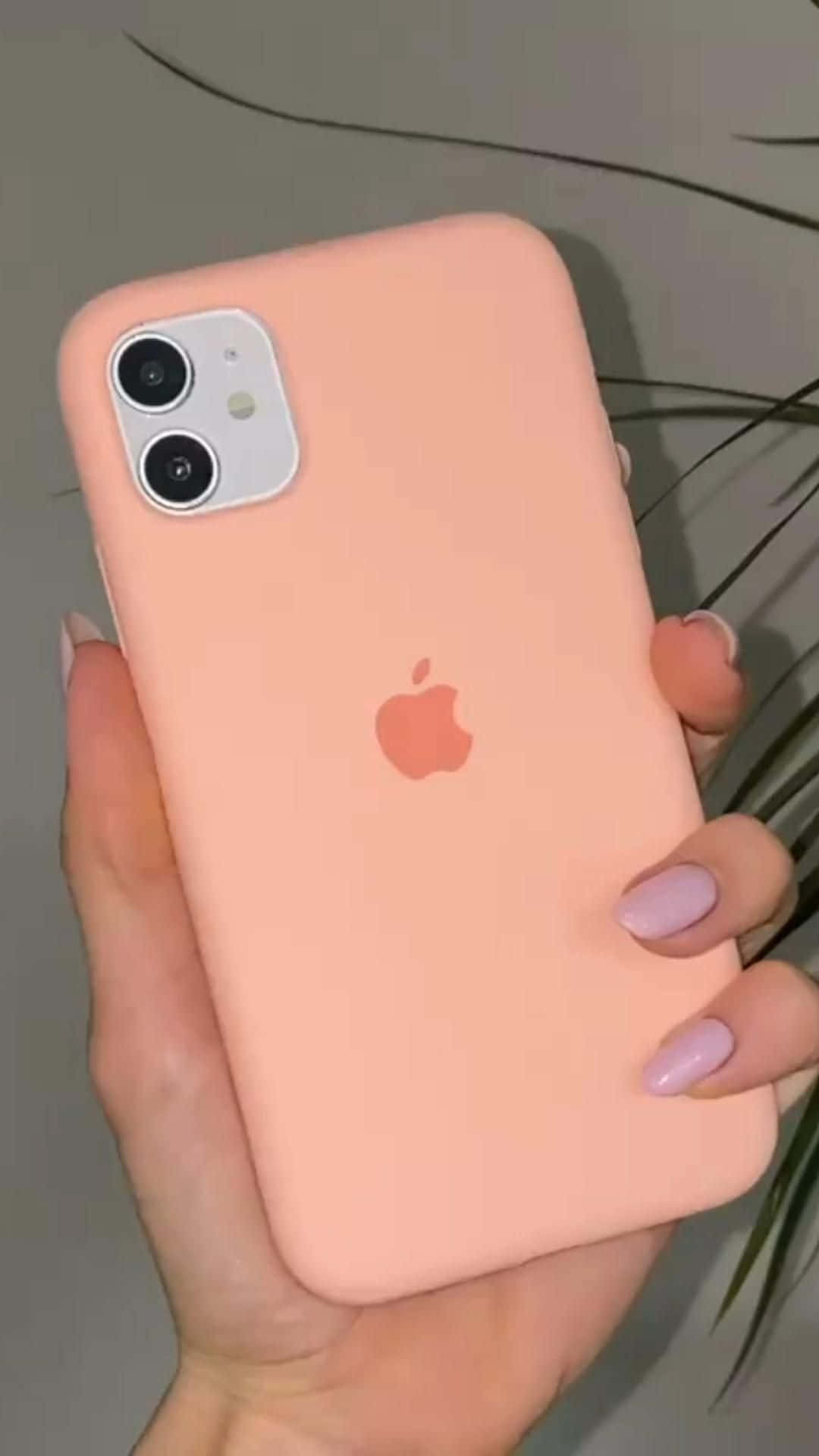 Hình ảnh iPhone 12 Hình nền