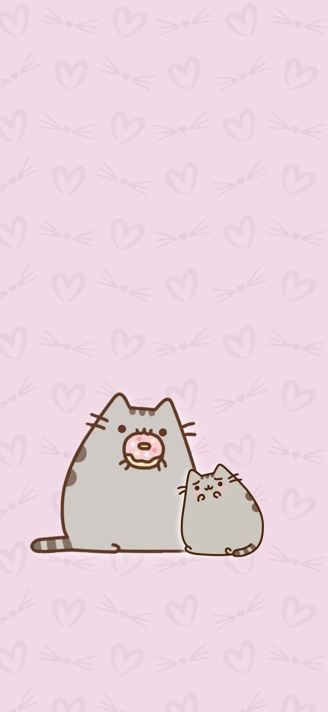 Hình Ảnh Mèo Dễ Thương Kawaii Ăn Bánh Donut Hình nền