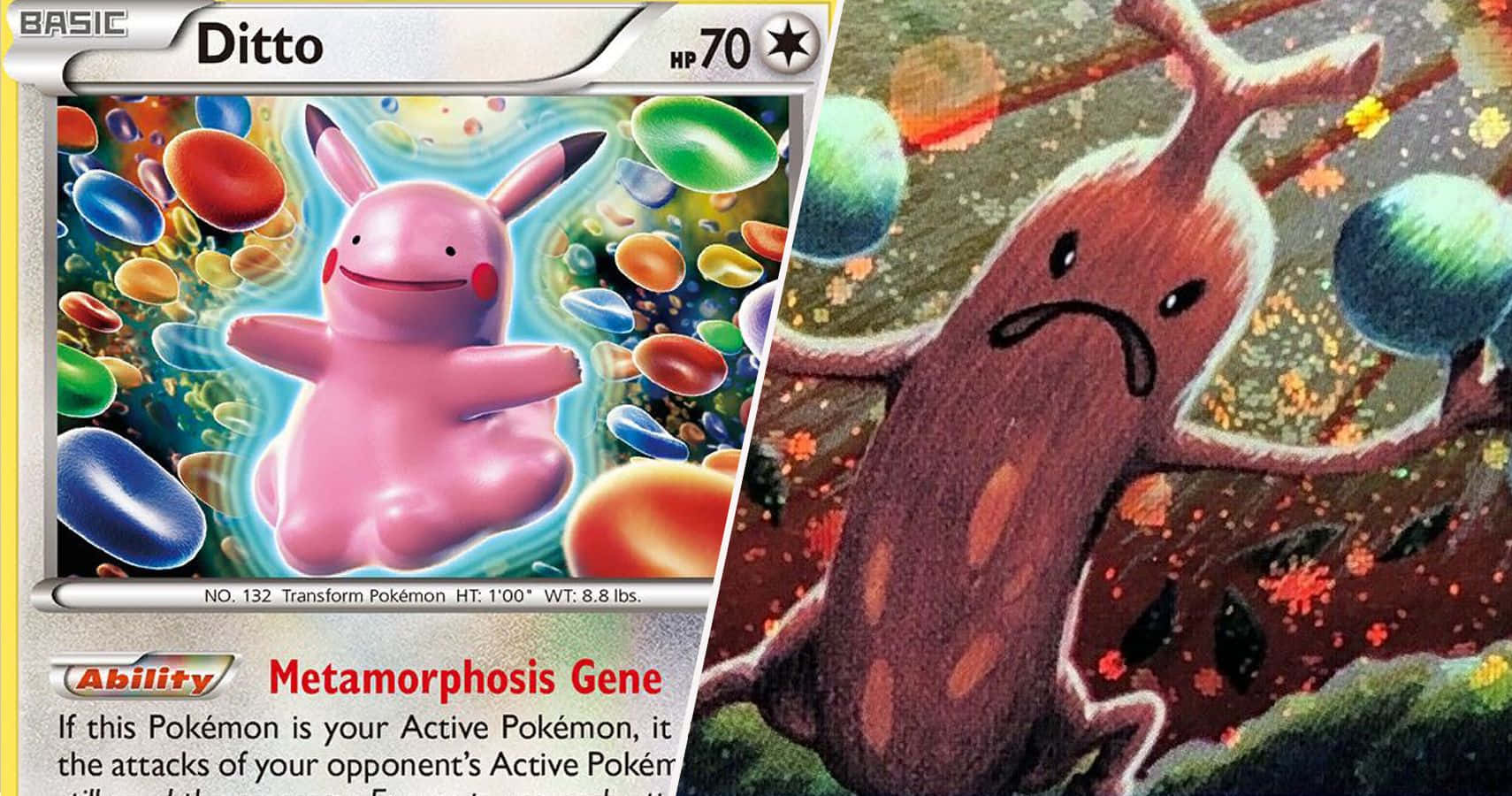 Hình Ảnh Pokemon Ditto Hài Hước Hình nền