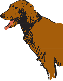 Hình bóng chó Golden Retriever Hình nền
