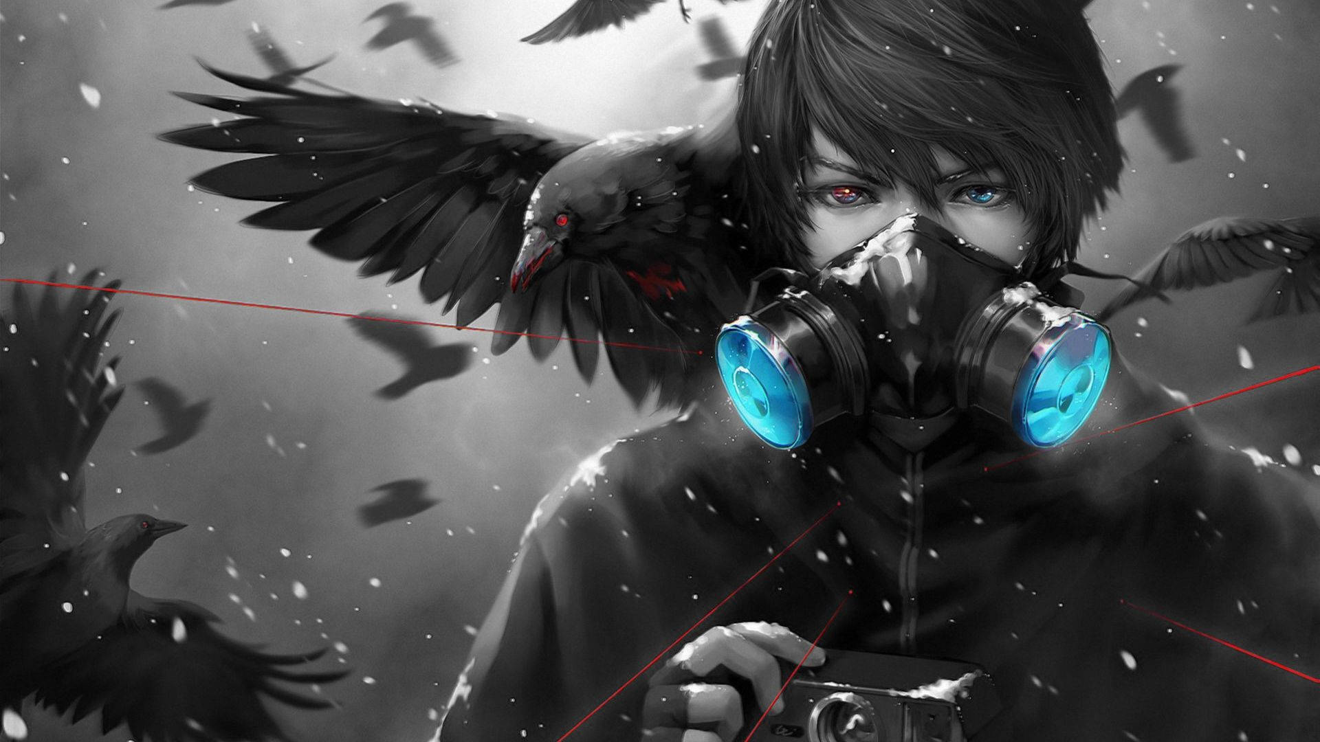Hình nền Anime Cá tính Quạ và Chàng trai Hình nền