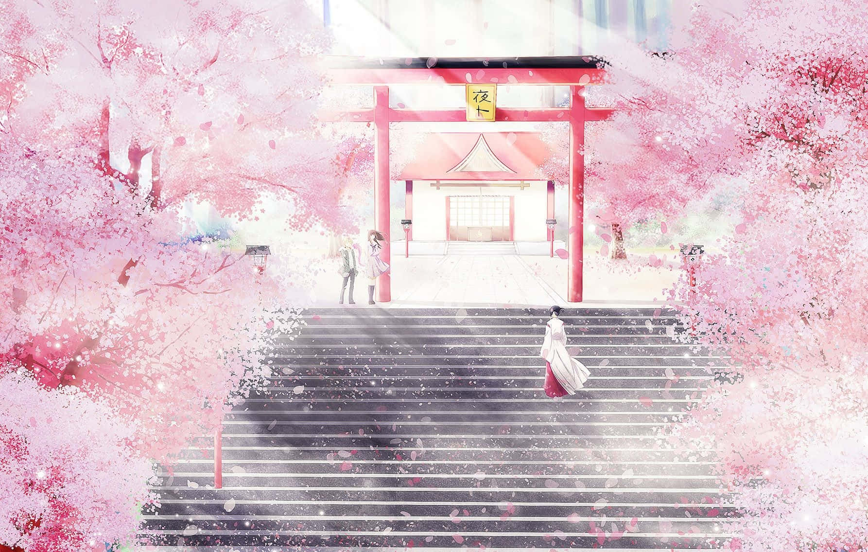 Hình nền Anime thẩm mỹ màu hồng Hình nền