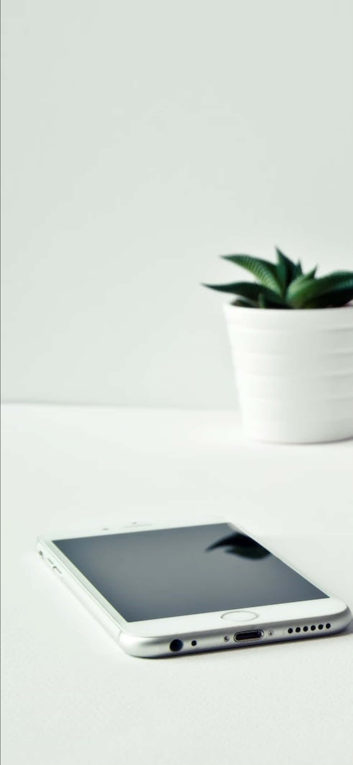 Hình nền bàn làm việc iPhone X Điện thoại trắng và cây xanh Hình nền