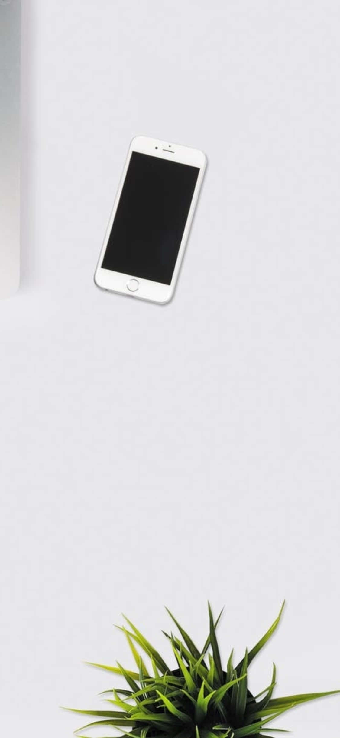 Hình nền bàn làm việc iPhone X với điện thoại trắng và cây trong nhà Hình nền