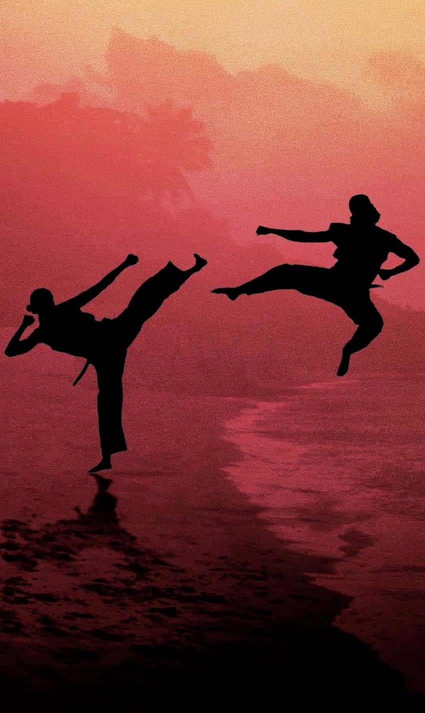 Hình nền bóng đối kháng Cobra Kai iPhone Xr Hình nền