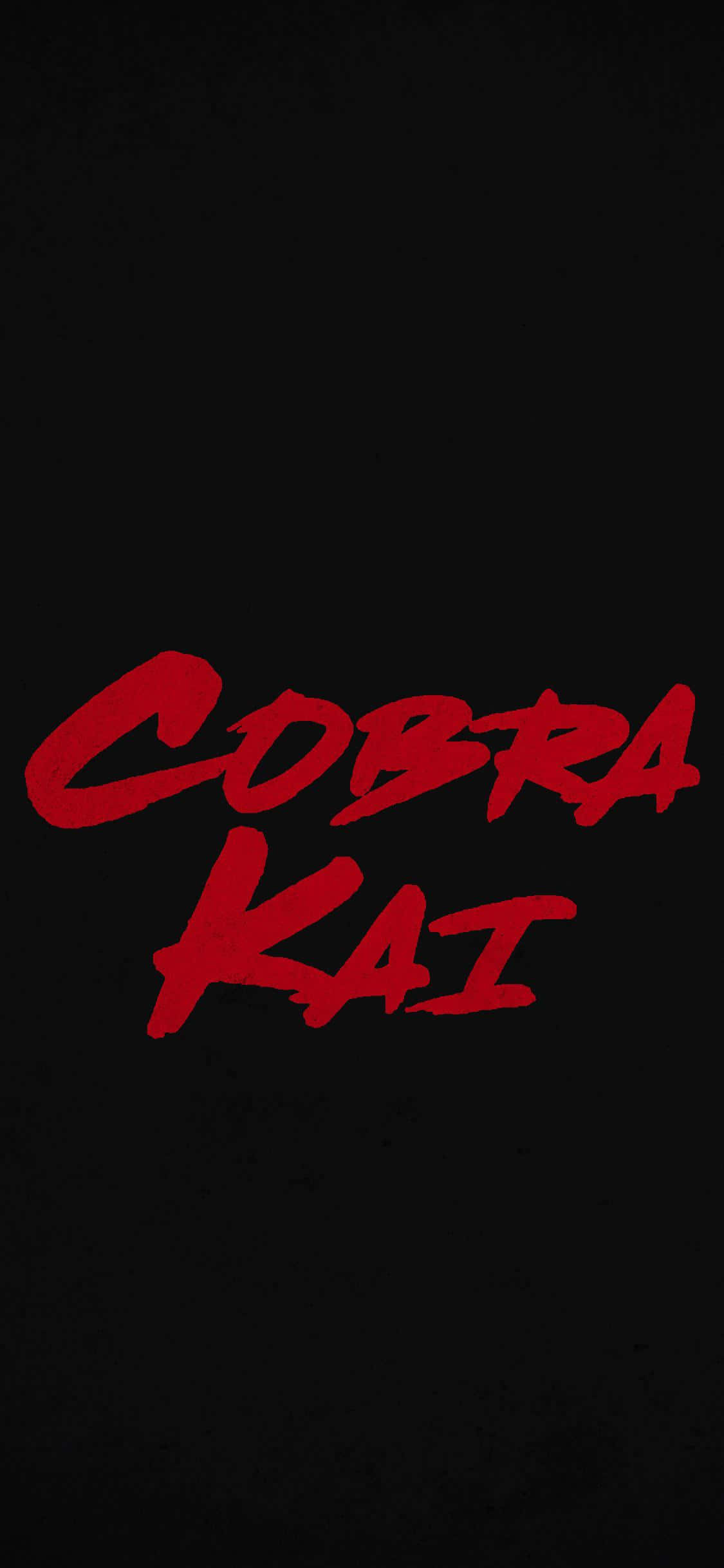 Hình nền chữ Cobra Kai cho iPhone Xr Hình nền