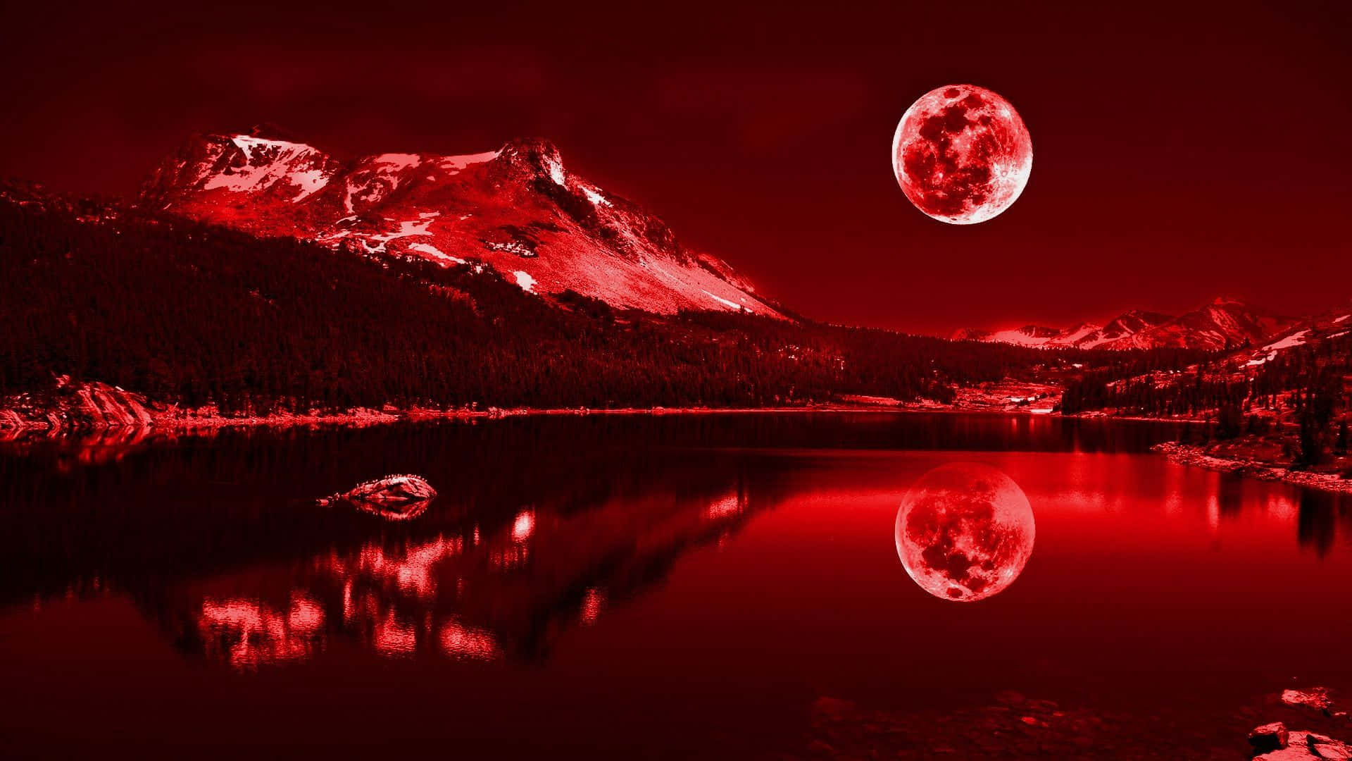 Hình nền đỏ 1920x1080 Hình nền