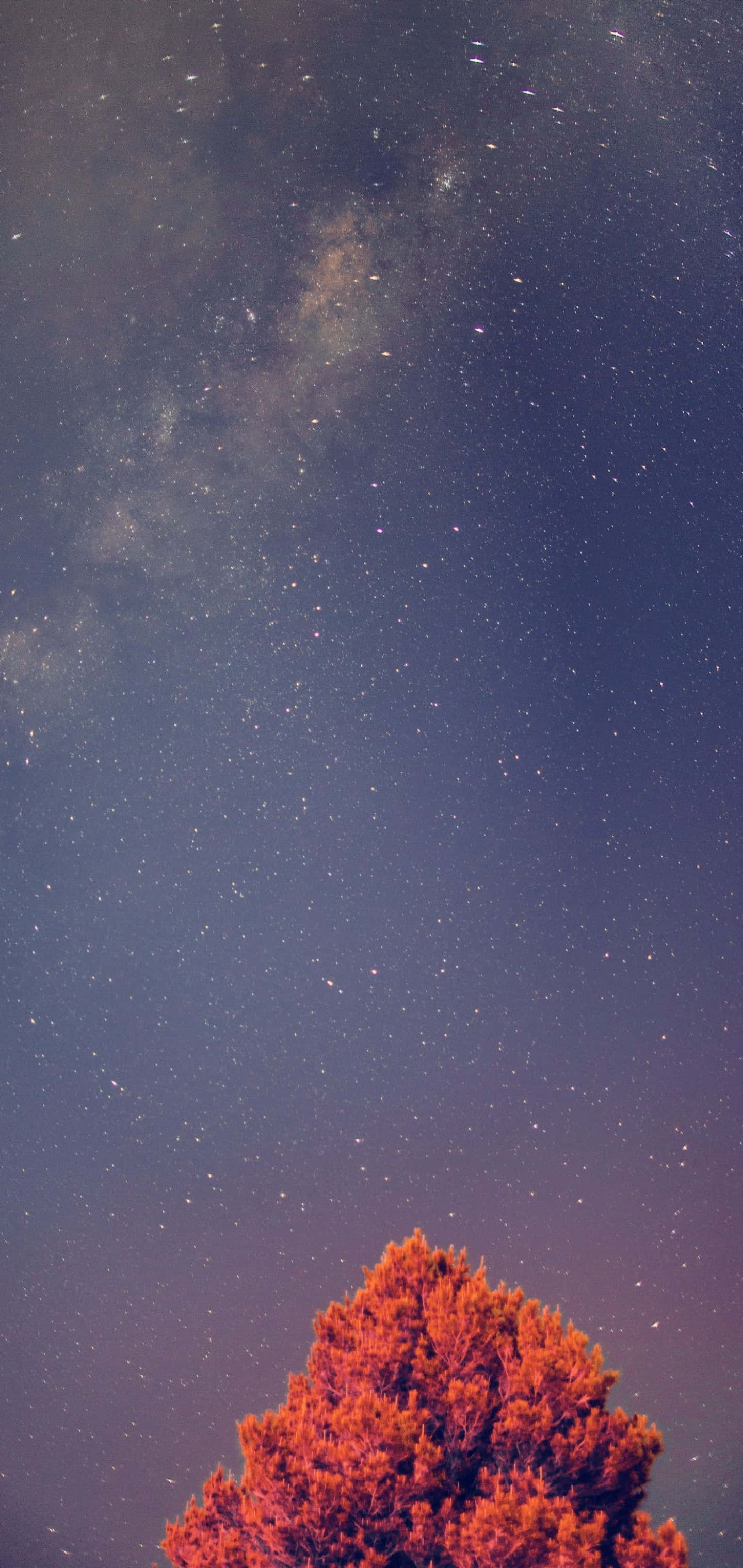Hình nền Galaxy S10 Plus Hình nền