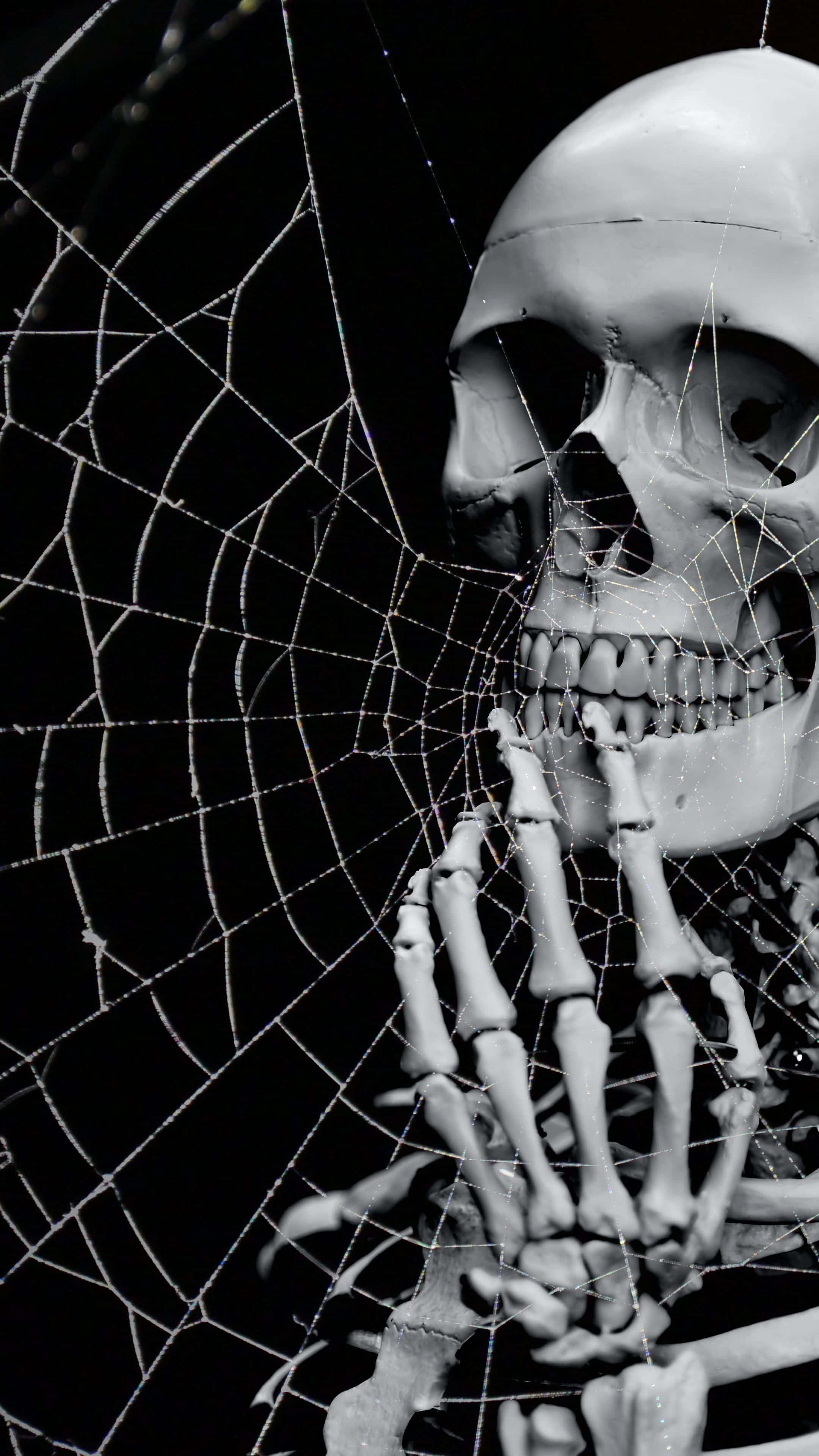 Hình nền Halloween 2160 x 3840 Hình nền