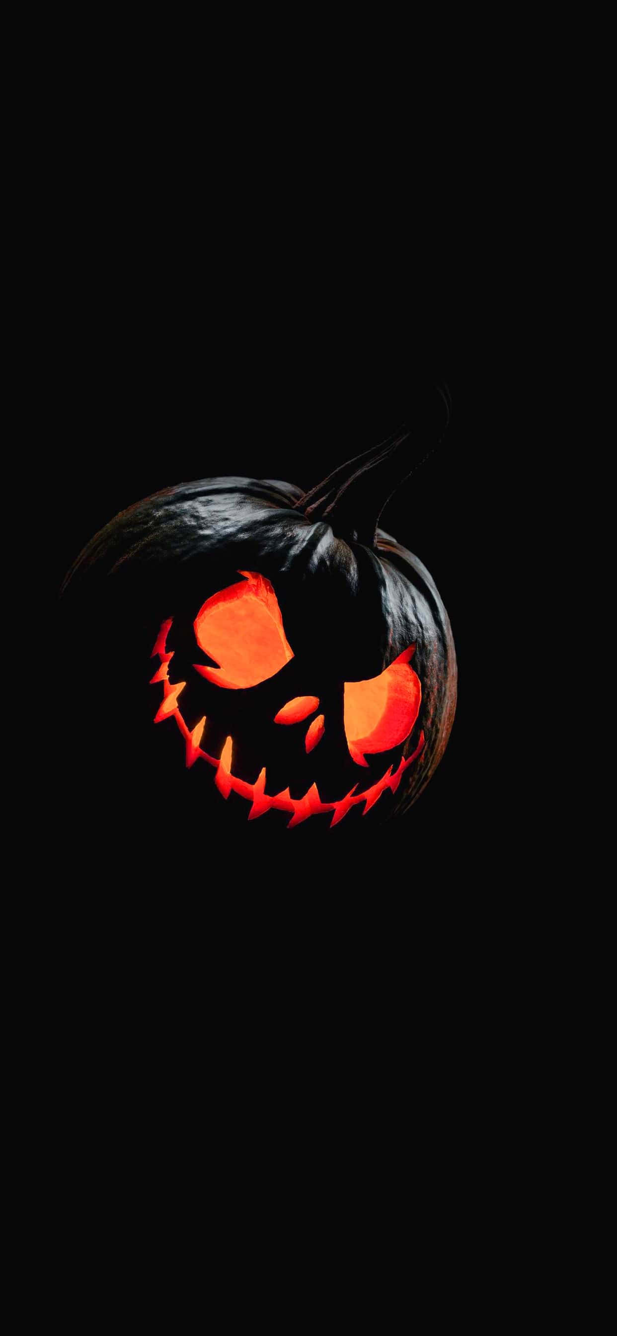 hình nền halloween quả bí ngô HD Hình nền