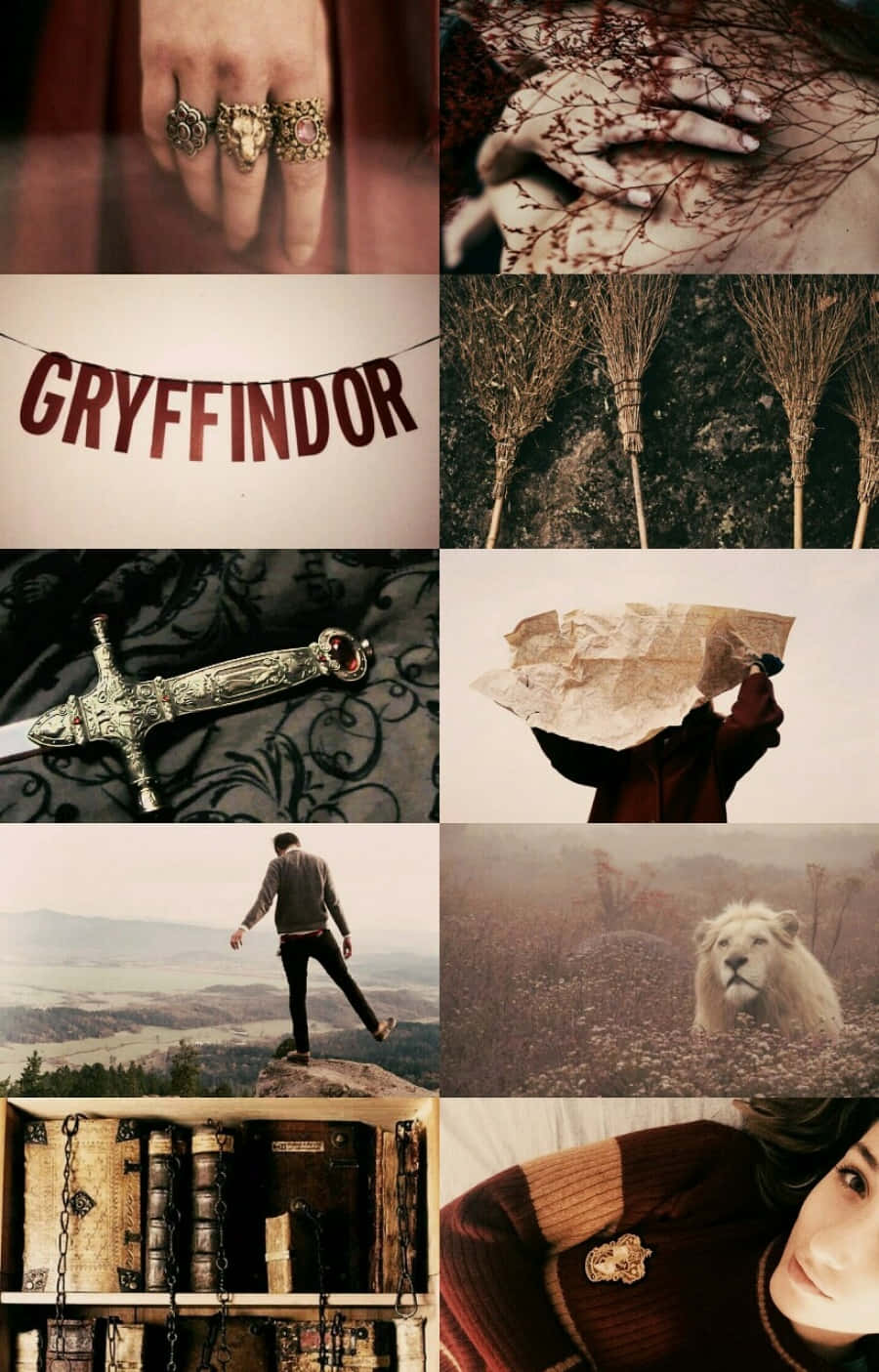 Hình nền Harry Potter đầy tính thẩm mỹ Hình nền