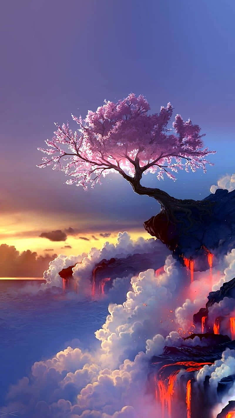 Hình nền hoa anh đào Hình nền