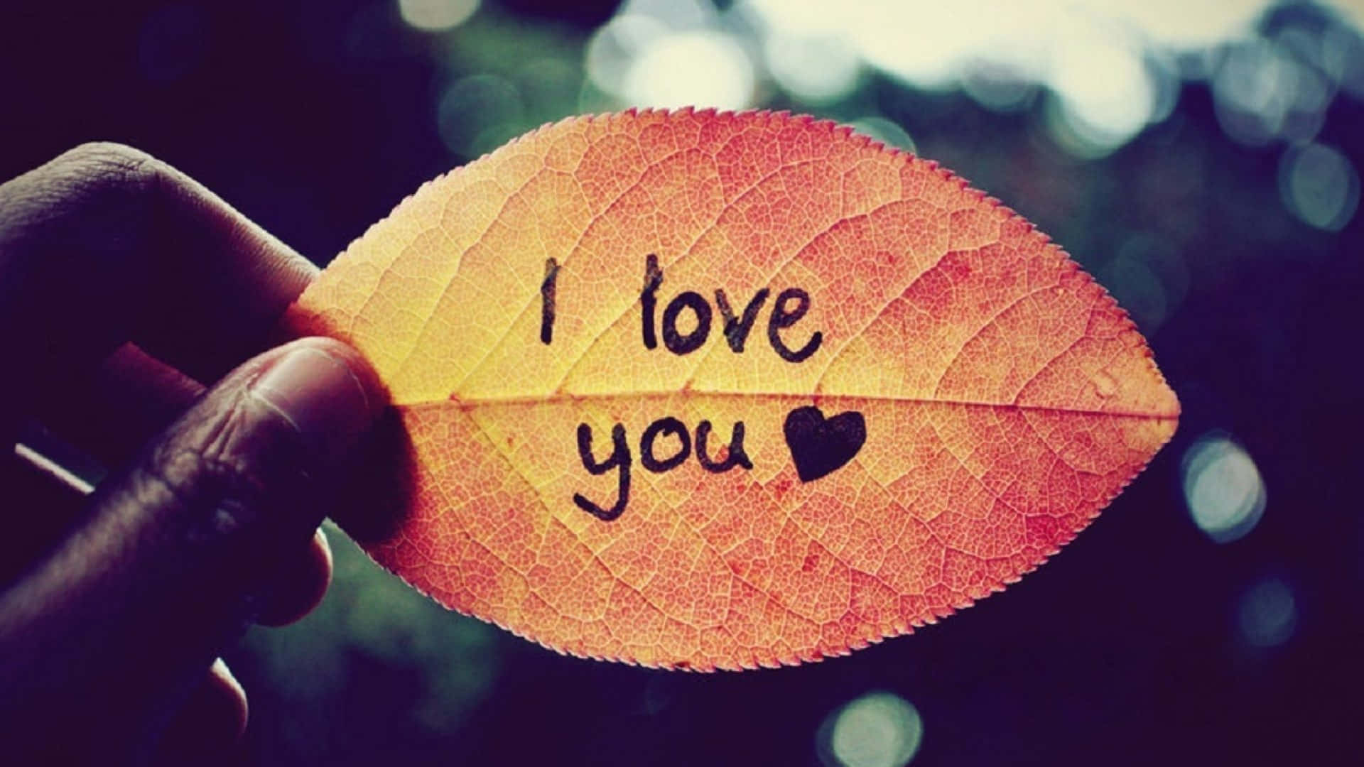 hình nền i love you Hình nền